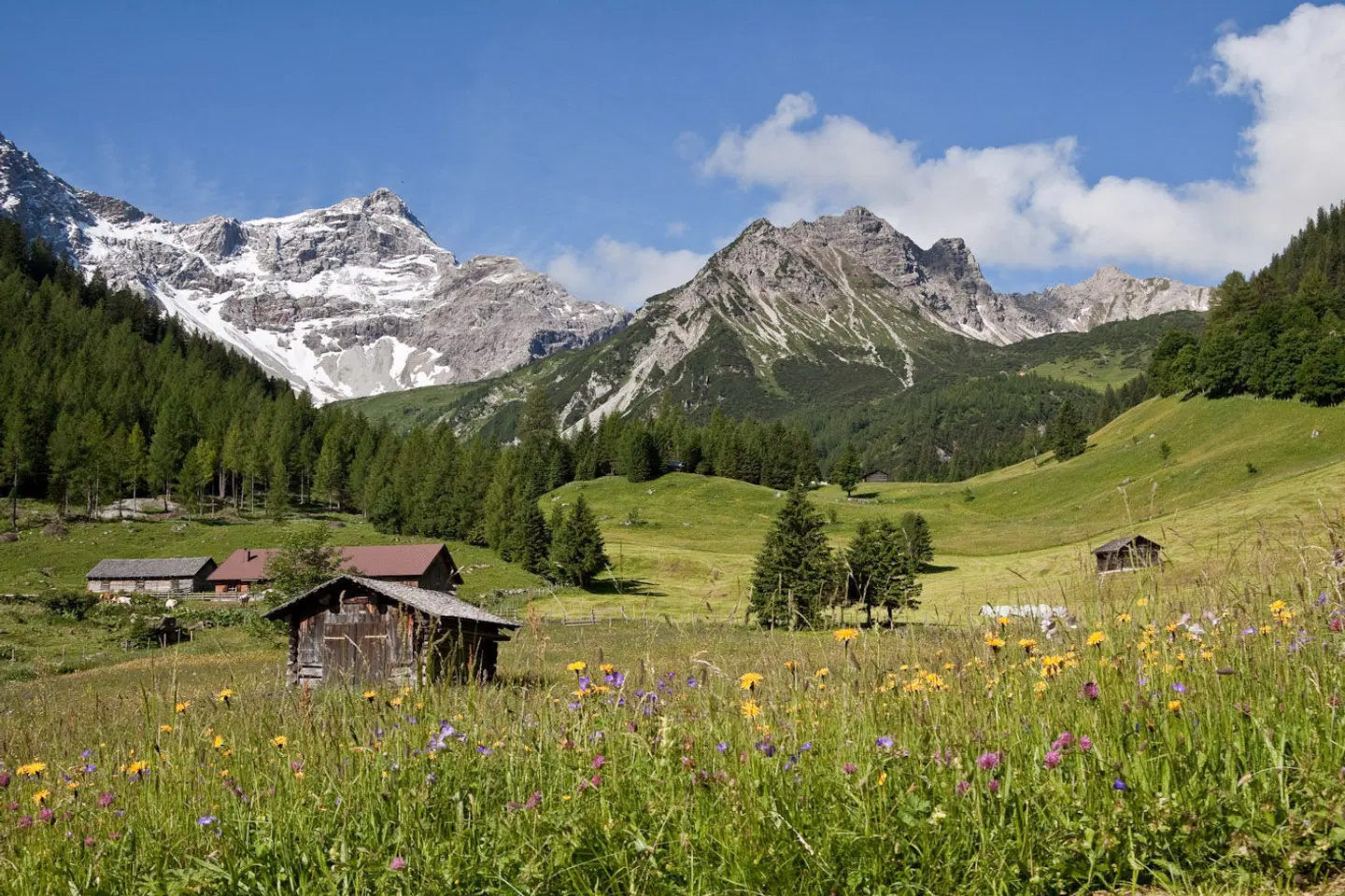 Sarotla LANDSCAPE