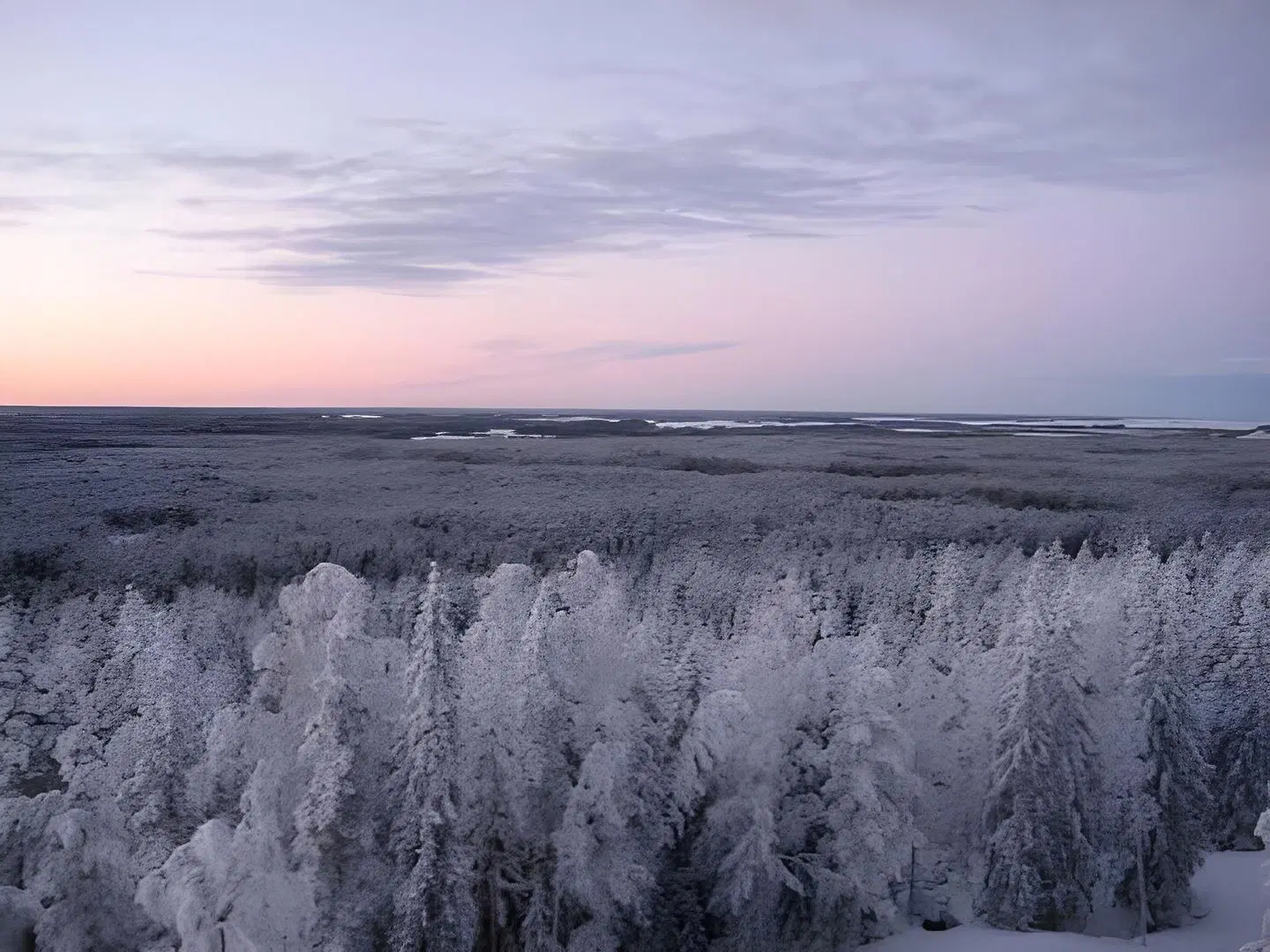 Aparthotel Simpsiönkullas LANDSCAPE
