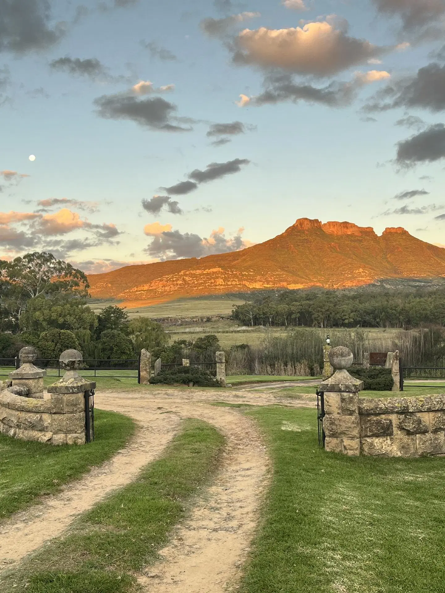 Moolmanshoek Private Game Reserve Garten