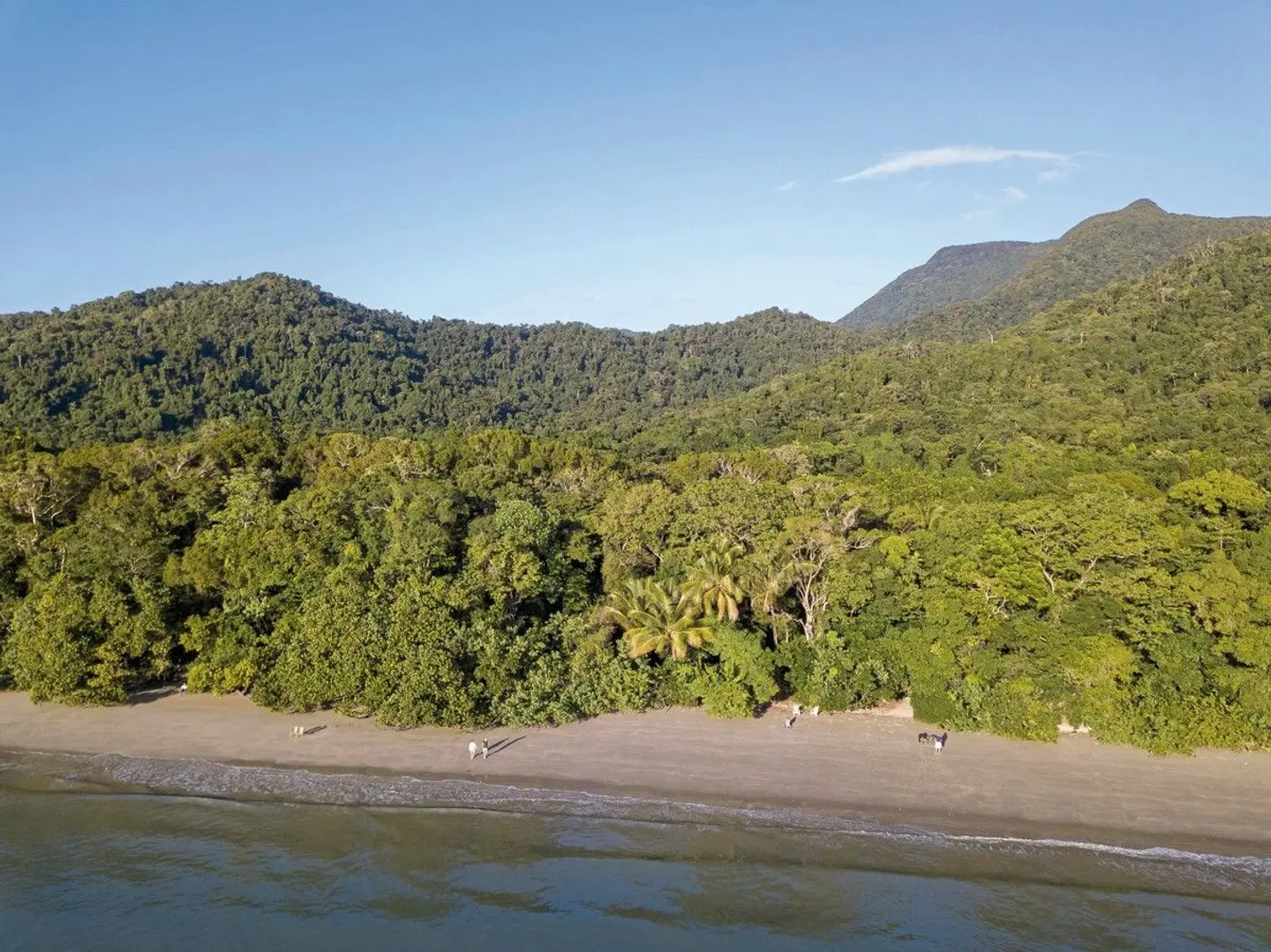 Cape Trib Beach House LANDSCAPE