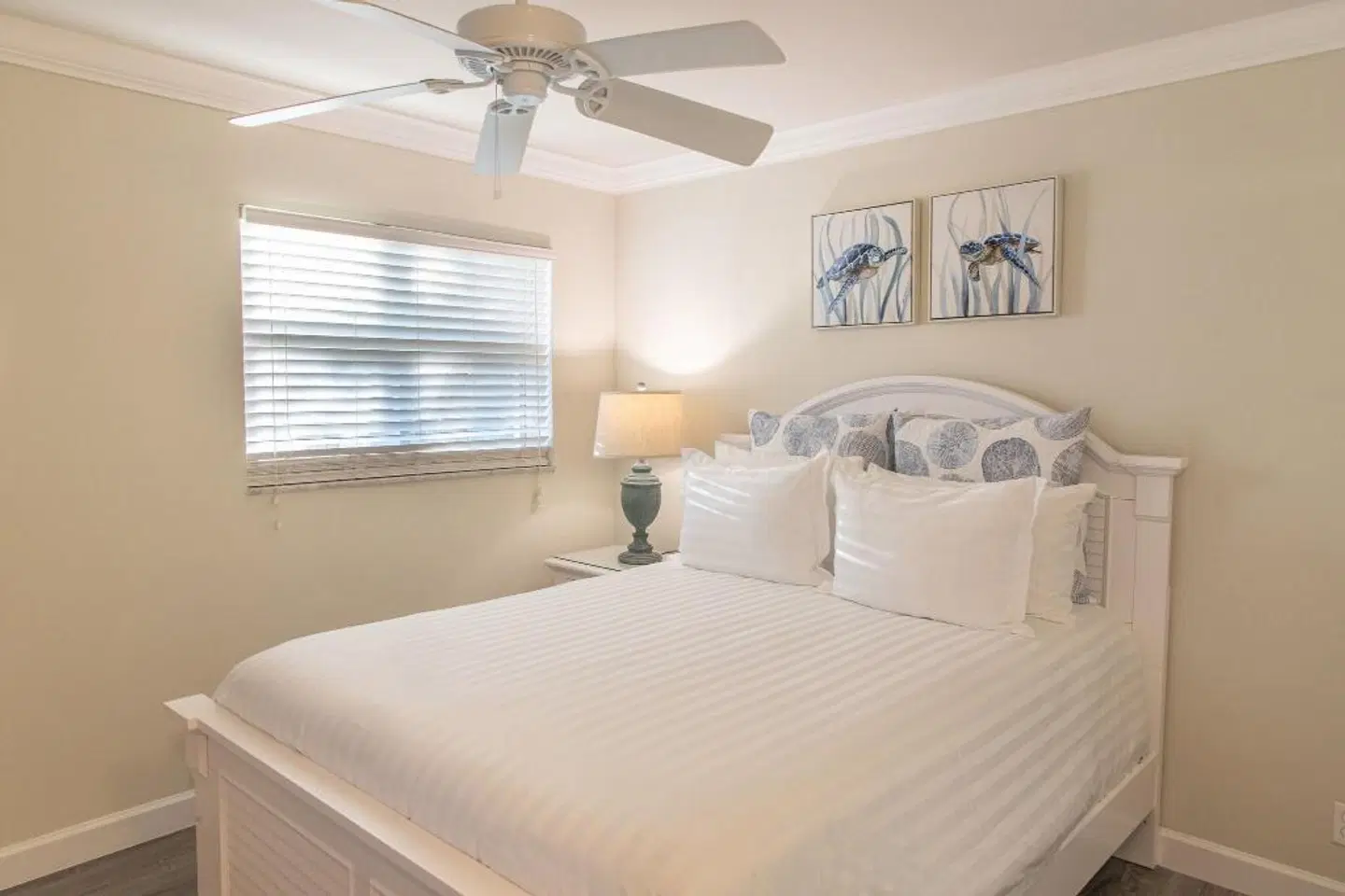 Dolphin Cove ROOM_EXAMPLE