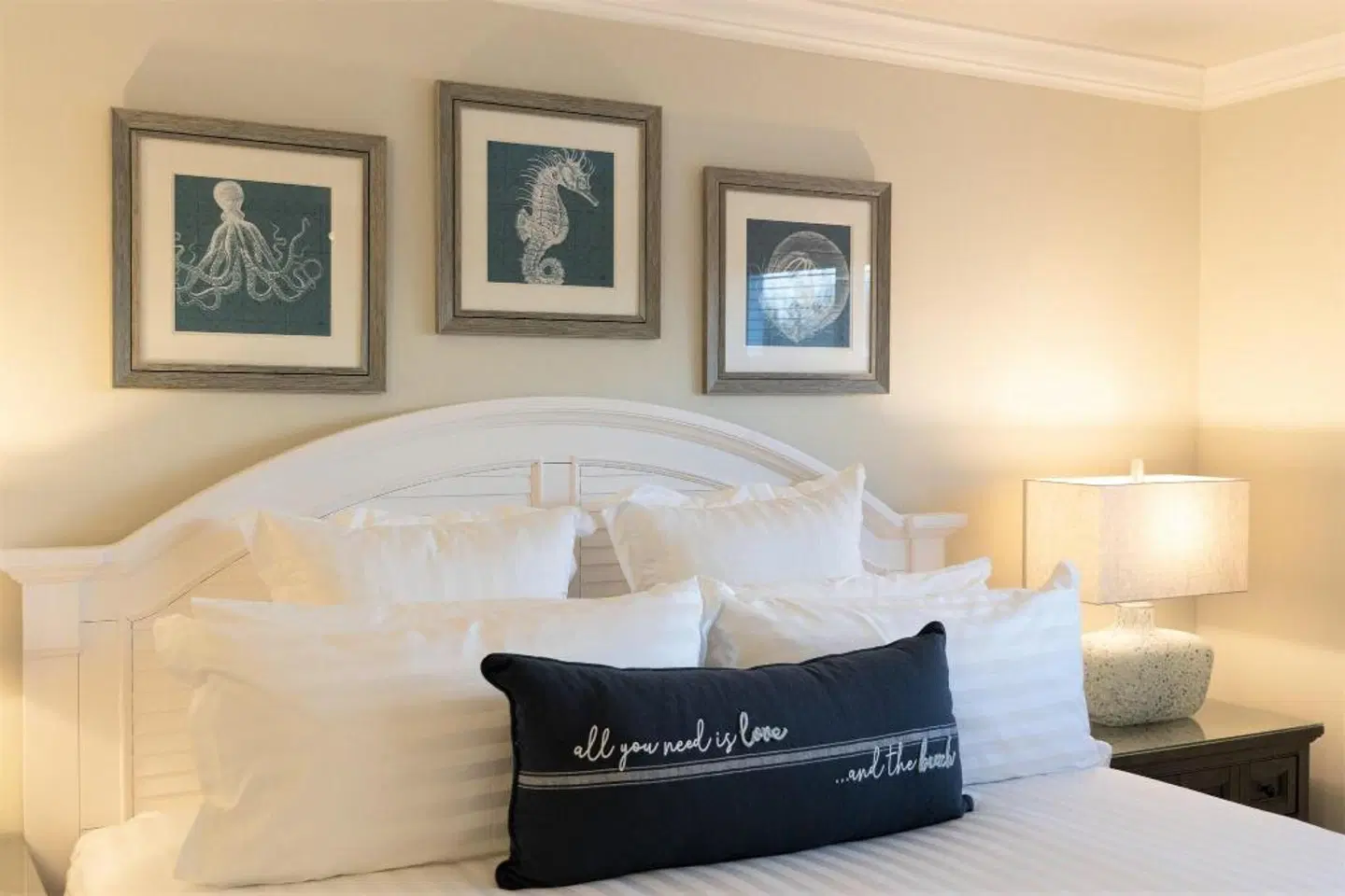 Dolphin Cove ROOM_EXAMPLE