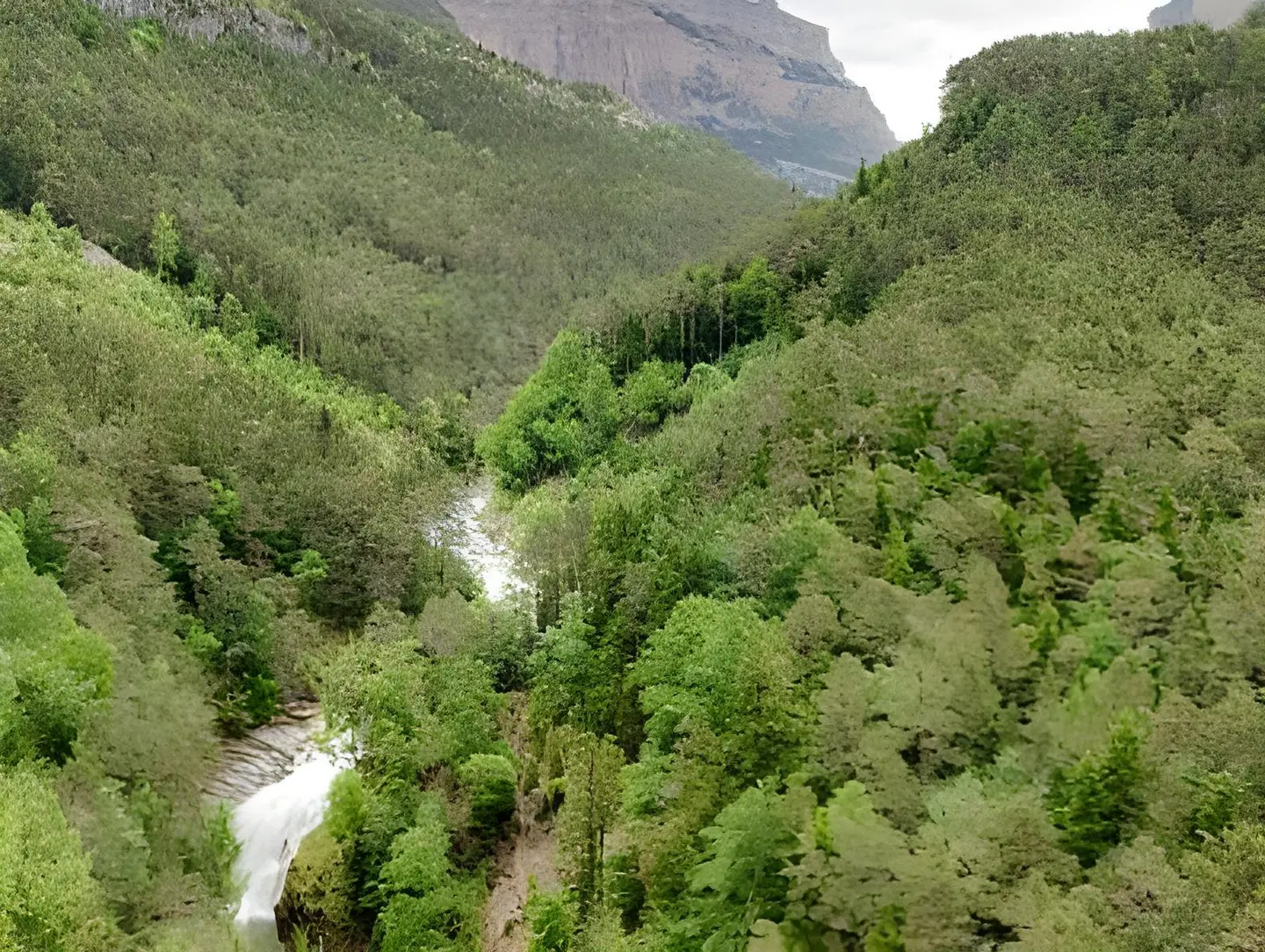 La Posada LANDSCAPE