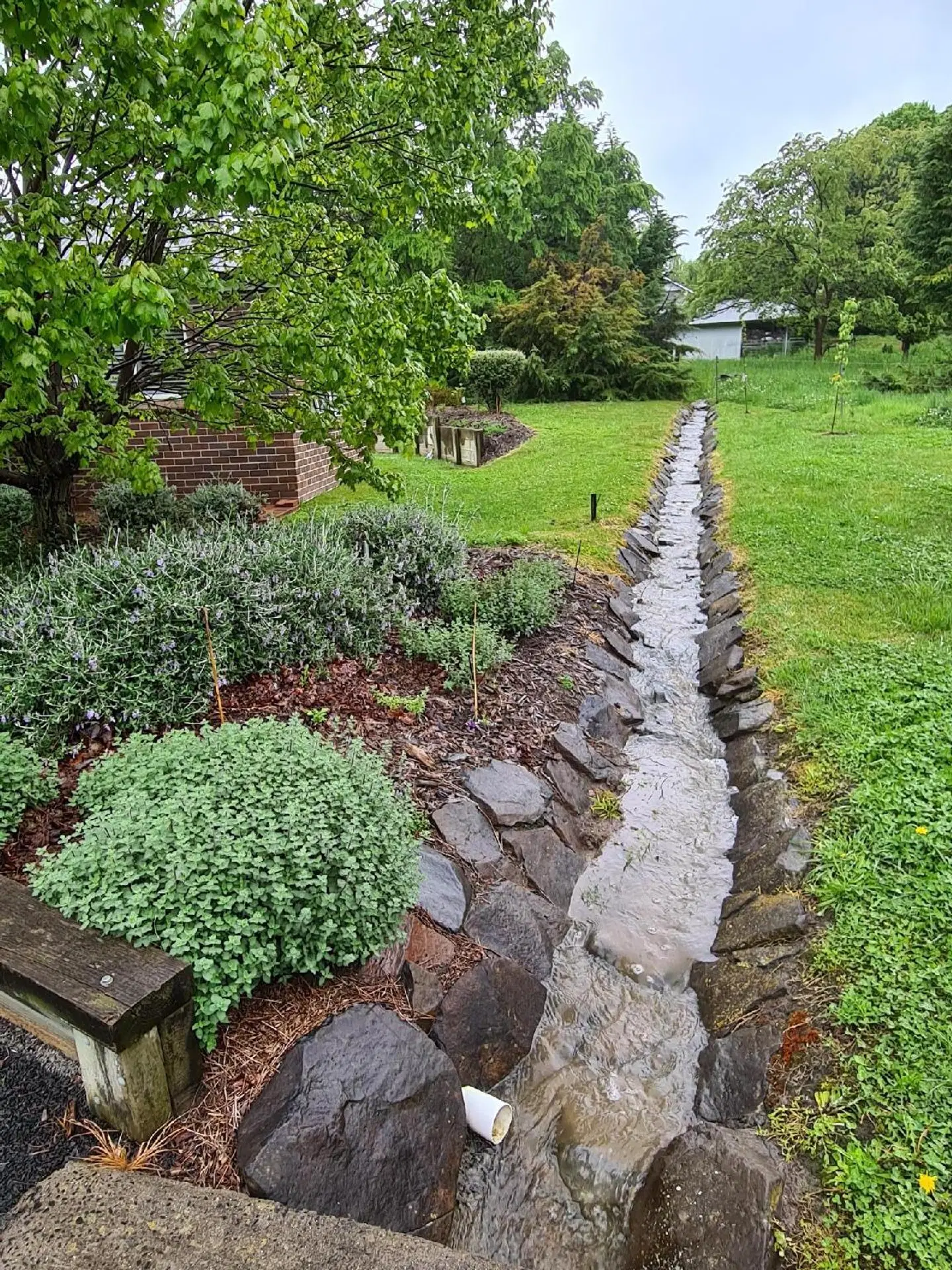 Moore Park Apartments Garten
