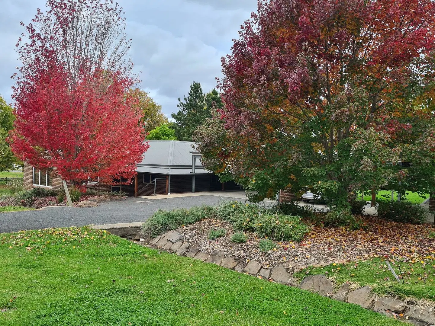 Moore Park Apartments Garten