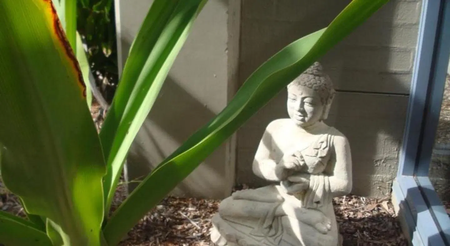 Corrigans Cove HEALTH_BEAUTY