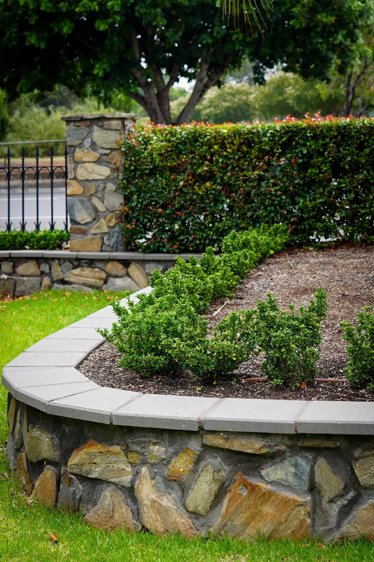 Barossa Bed & Breakfast Garten