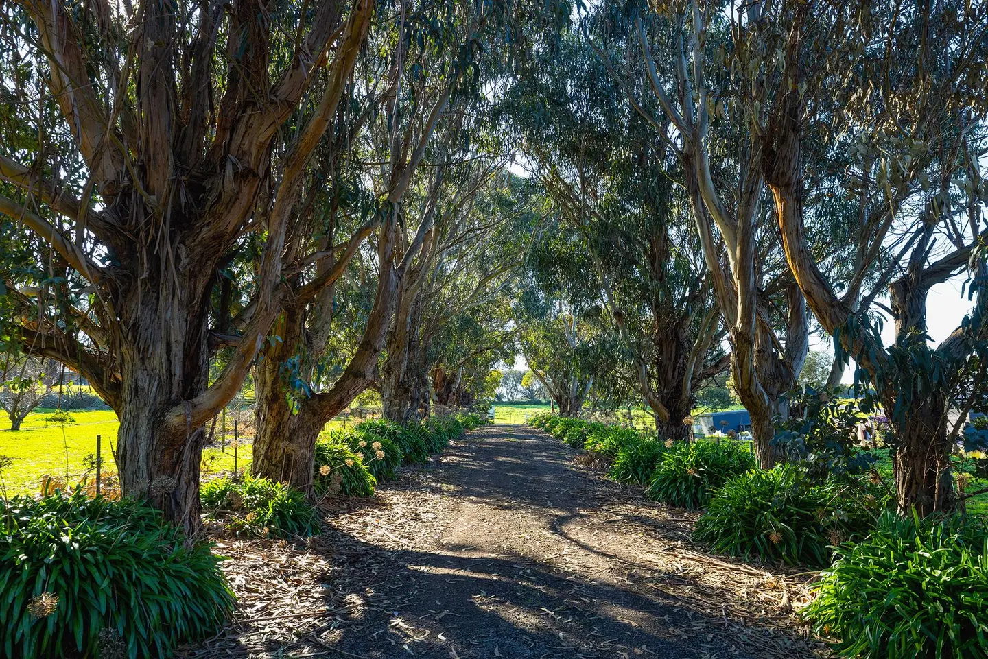 Harmony at Tower Hill Garten