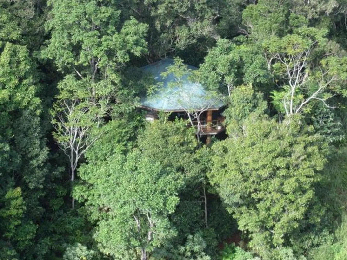 Mt Quincan Crater Retreat Garten
