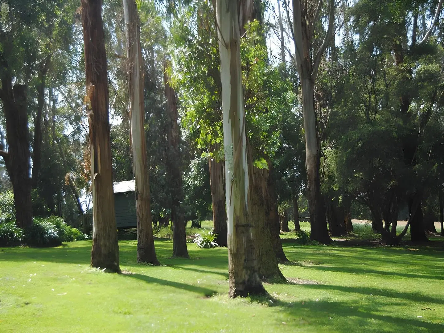 Clarendon Chalets Garten