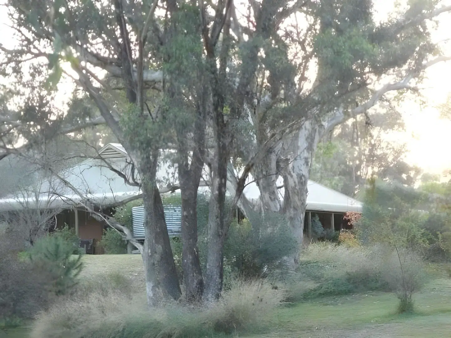 Wildwood Guesthouse EXTERIOR