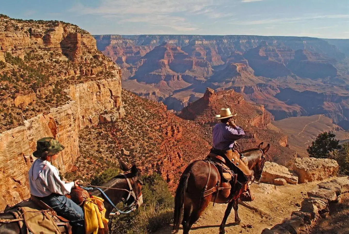 Kachina Lodge Tiere