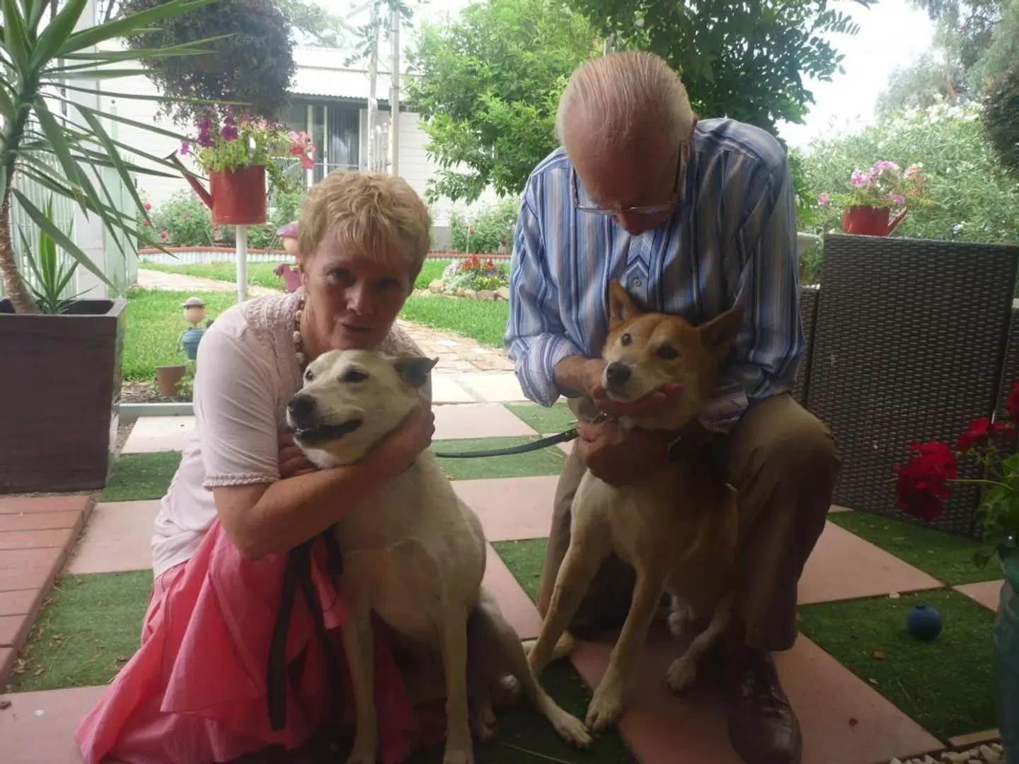 Must Love Dogs B&B & Self Contained Cottage Tiere