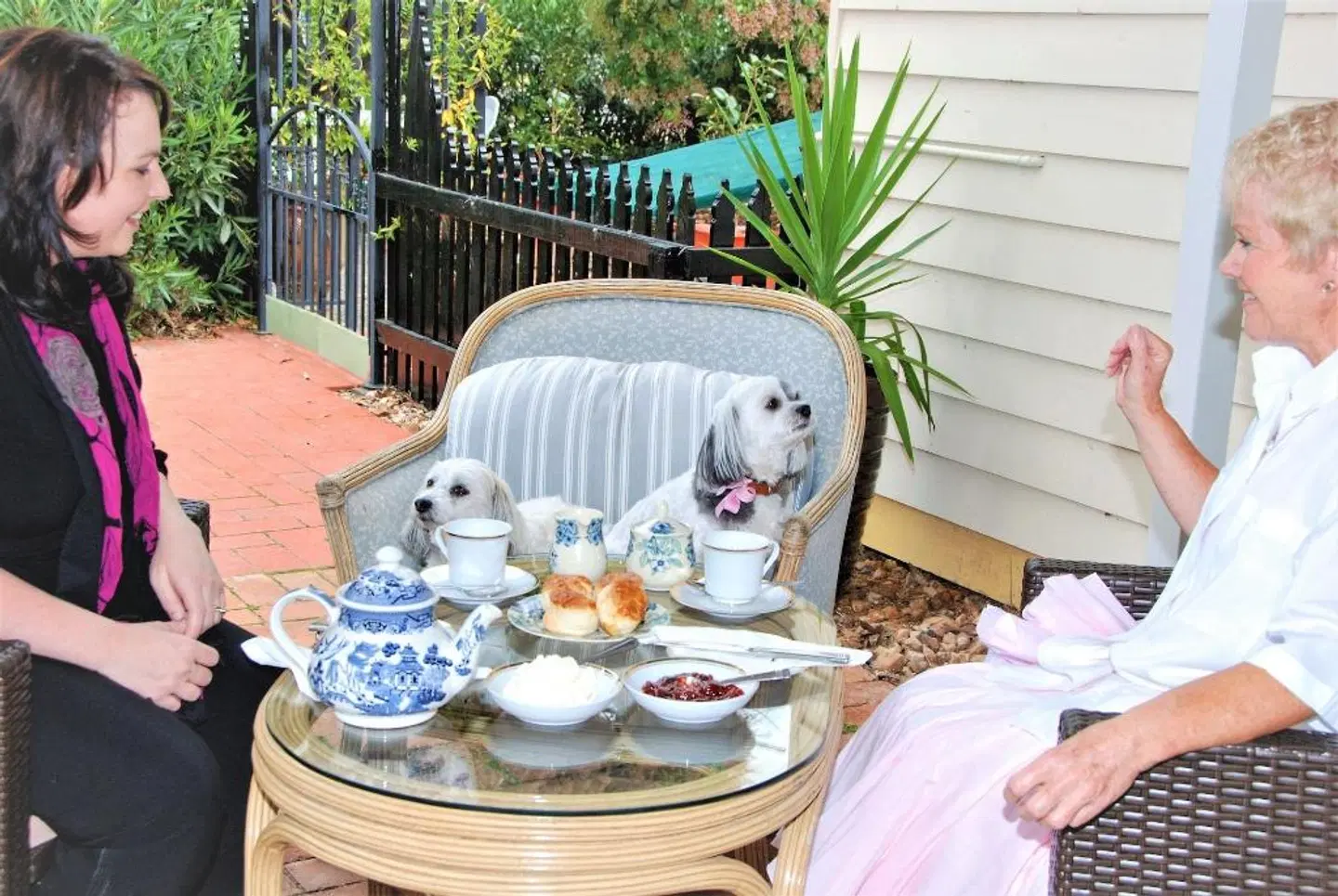 Must Love Dogs B&B & Self Contained Cottage Restaurant