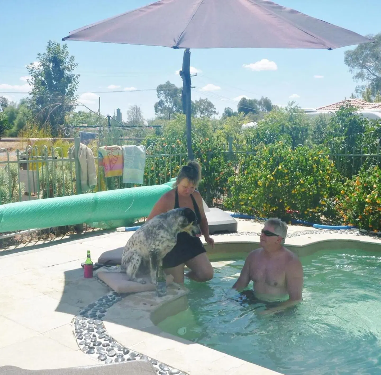 Must Love Dogs B&B & Self Contained Cottage OUTDOOR_POOL
