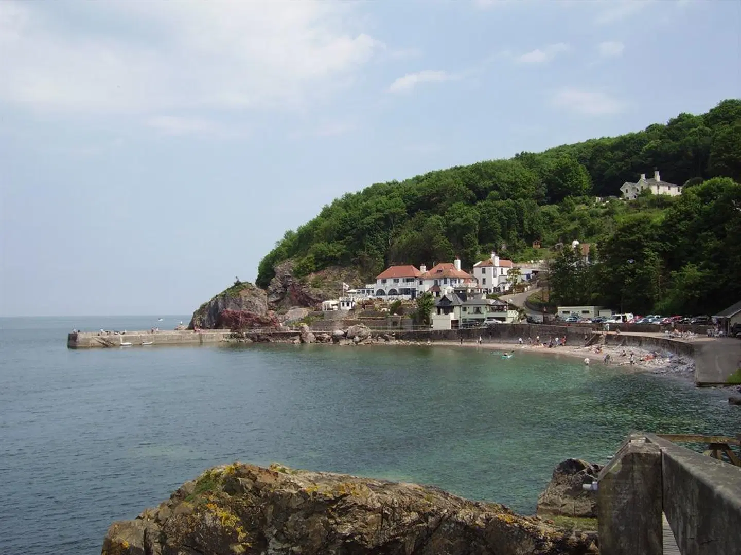 Babbacombe Palms LANDSCAPE