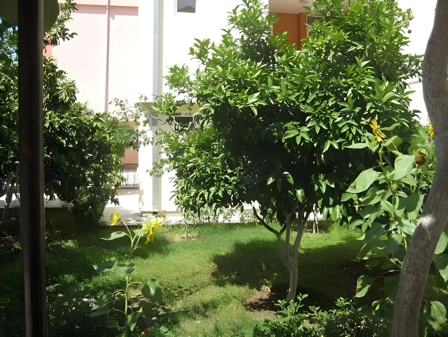 Apartments Dalila Garten