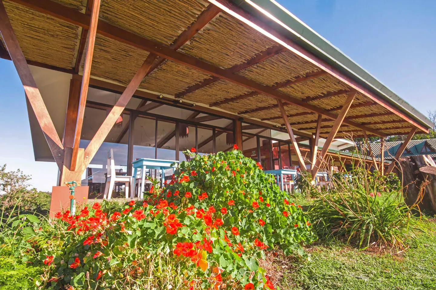 Chayote Lodge Terrasse