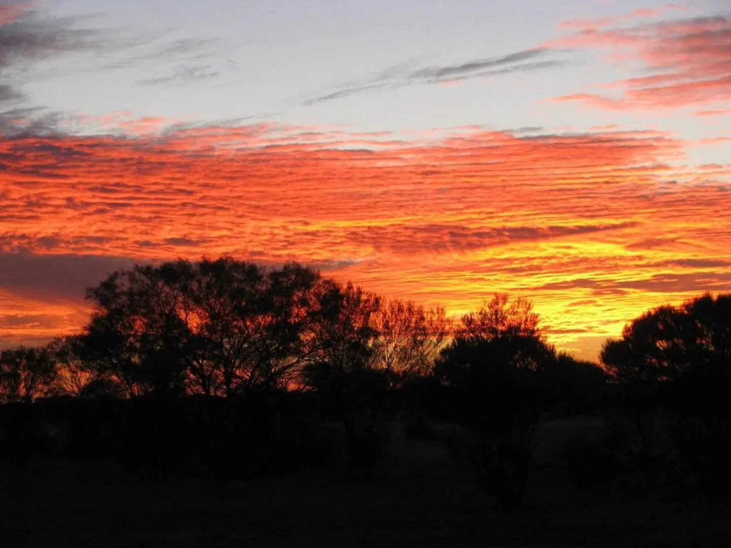 Coranda Lodge B & B LANDSCAPE