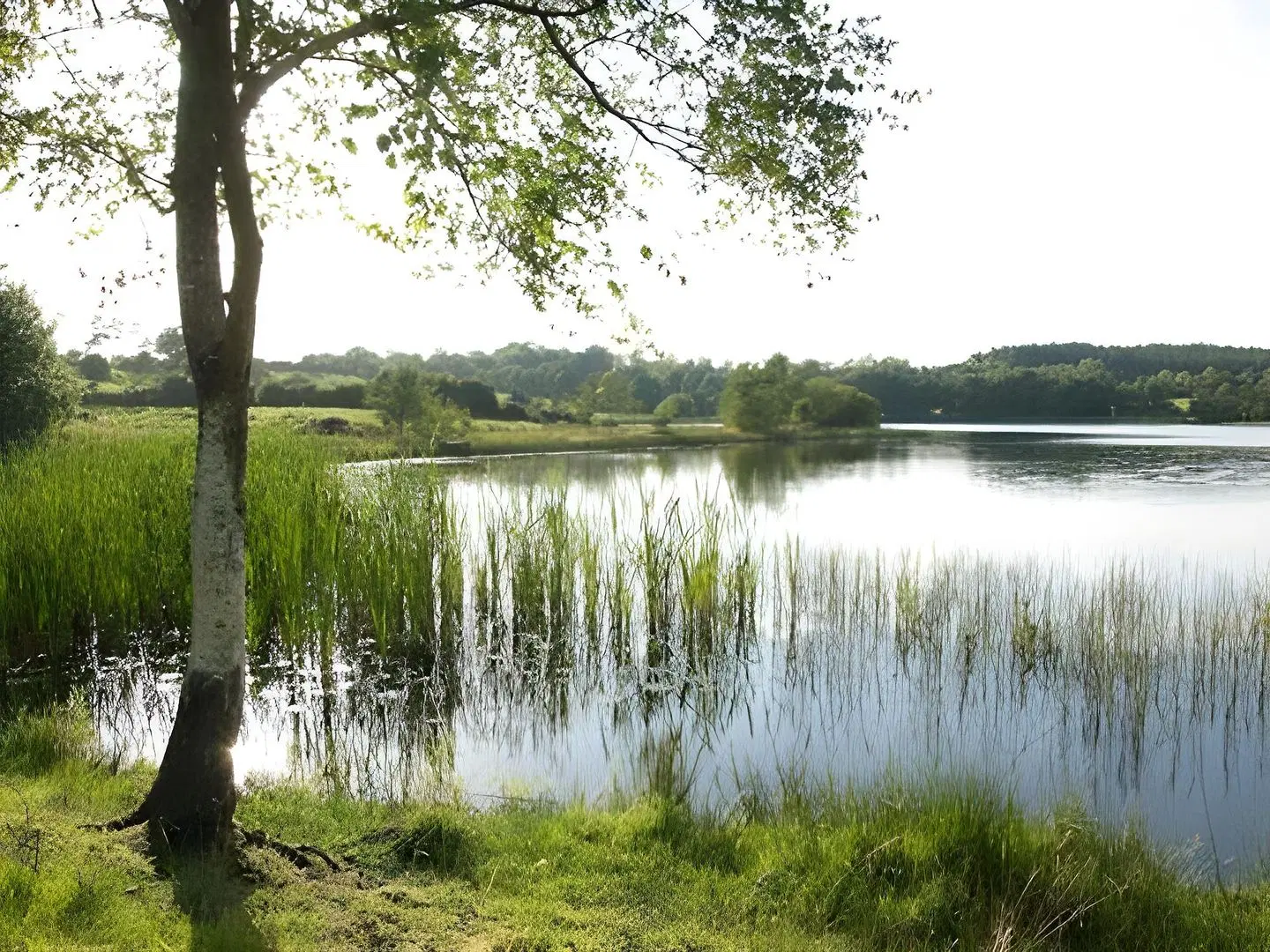 Breffni Arms Hotel LANDSCAPE
