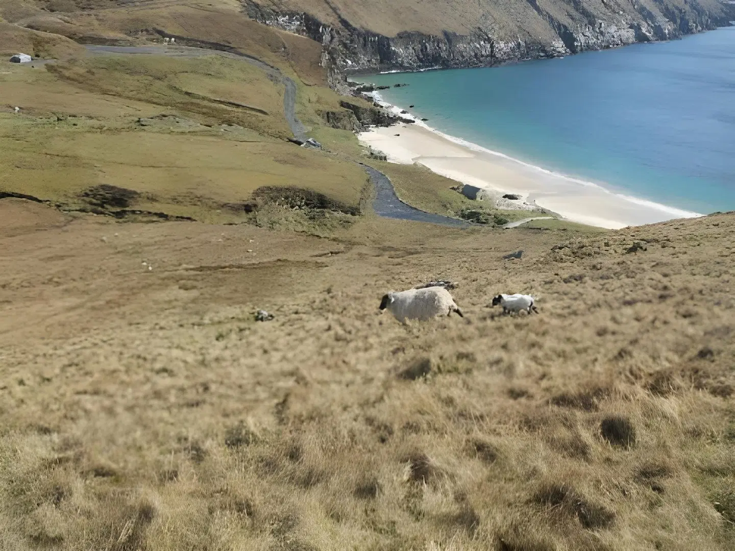 Achill Cliff House Hotel LANDSCAPE