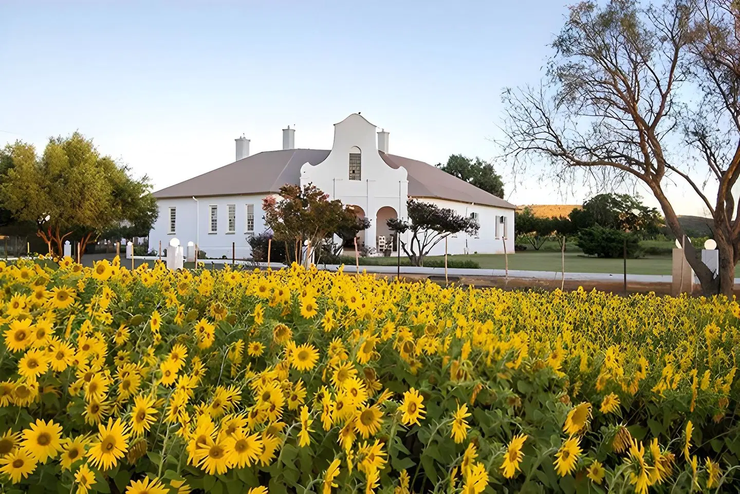 Bethulie Guest Farm EXTERIOR