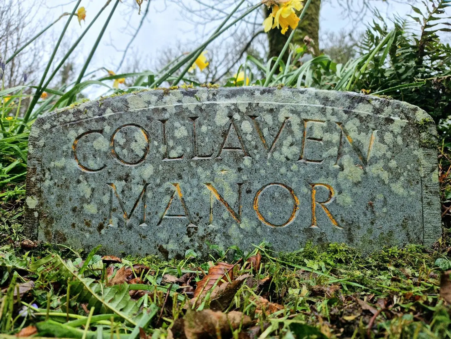 Collaven Manor LANDSCAPE