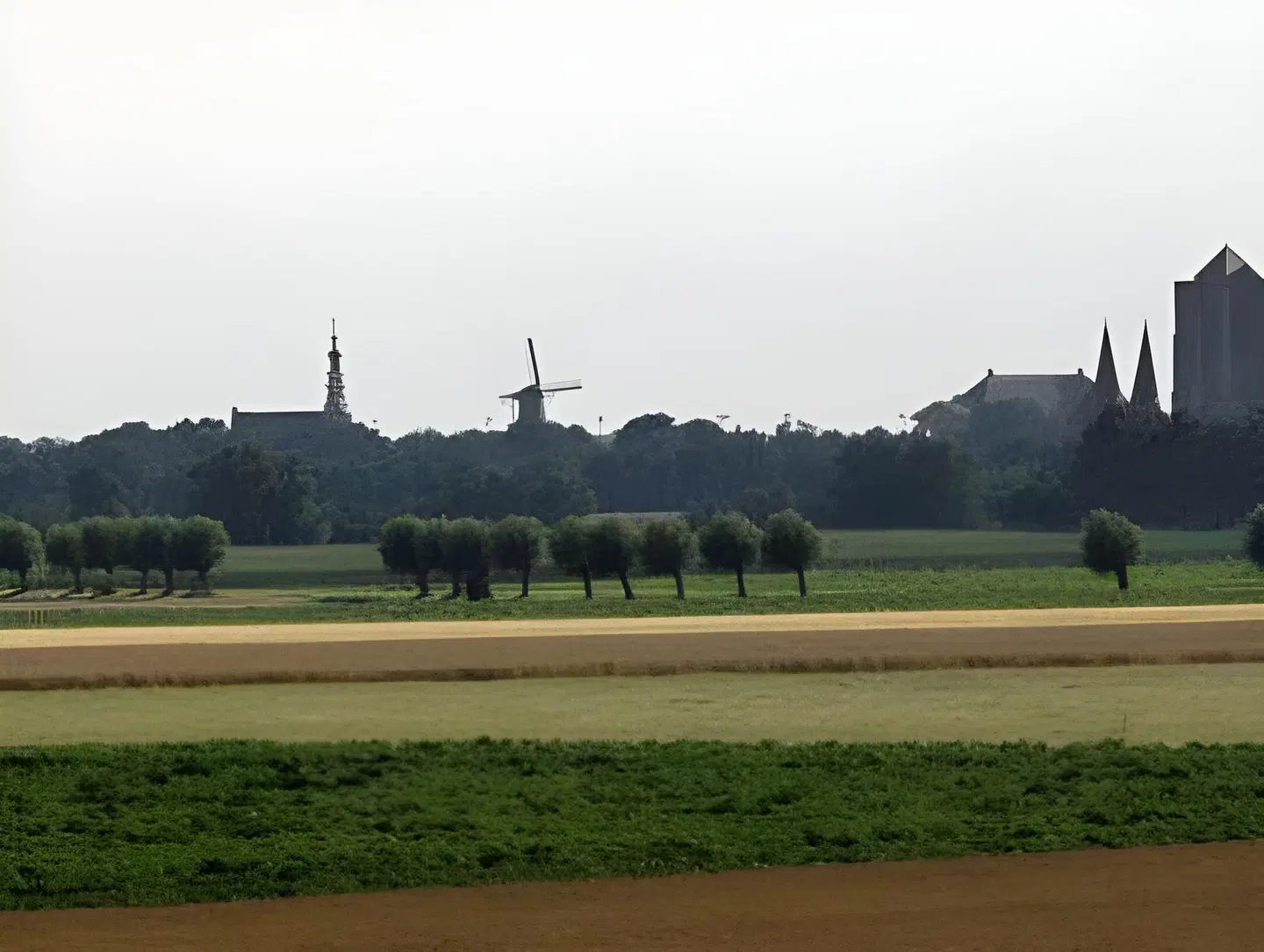 Schuddebeurs LANDSCAPE