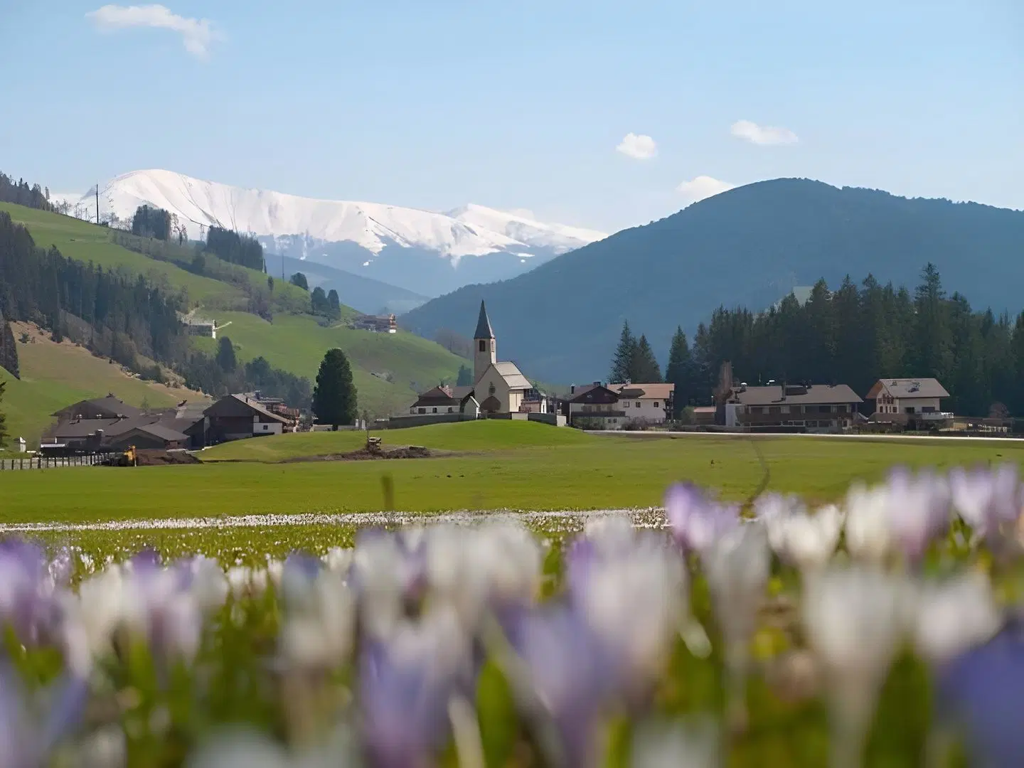 Hotel Trenker LANDSCAPE