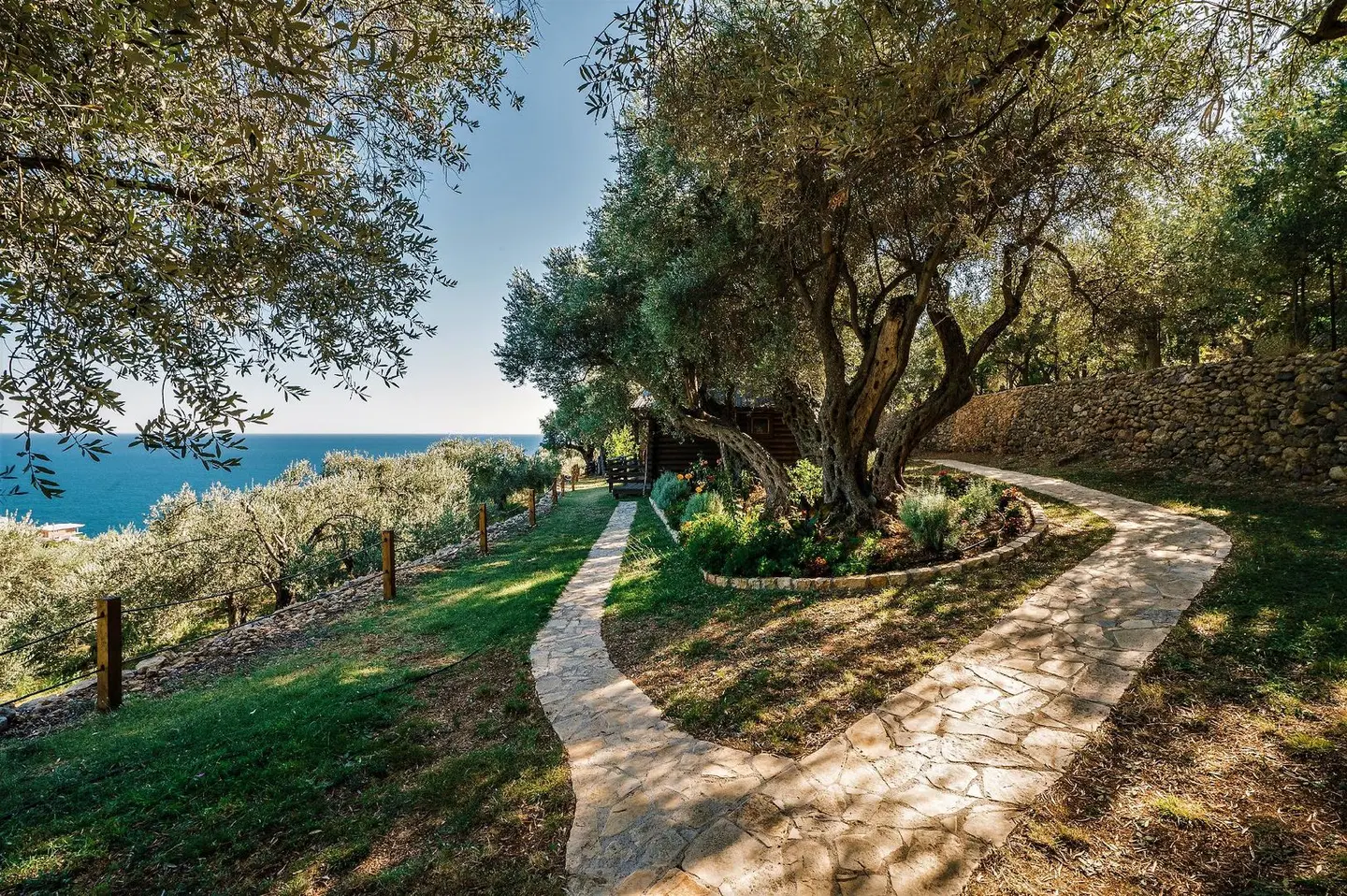 Holiday Park Olive Tree LANDSCAPE