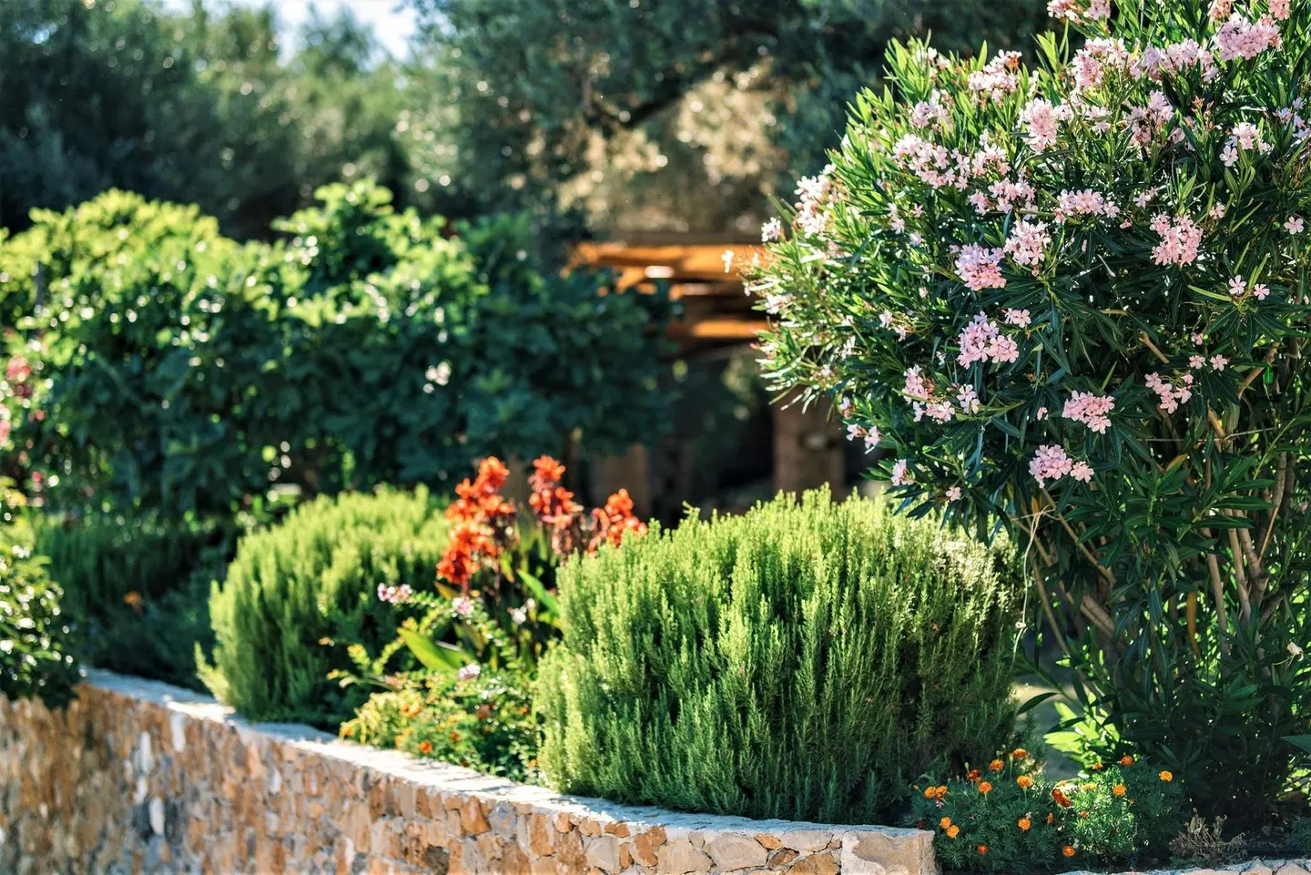 Holiday Park Olive Tree Garten