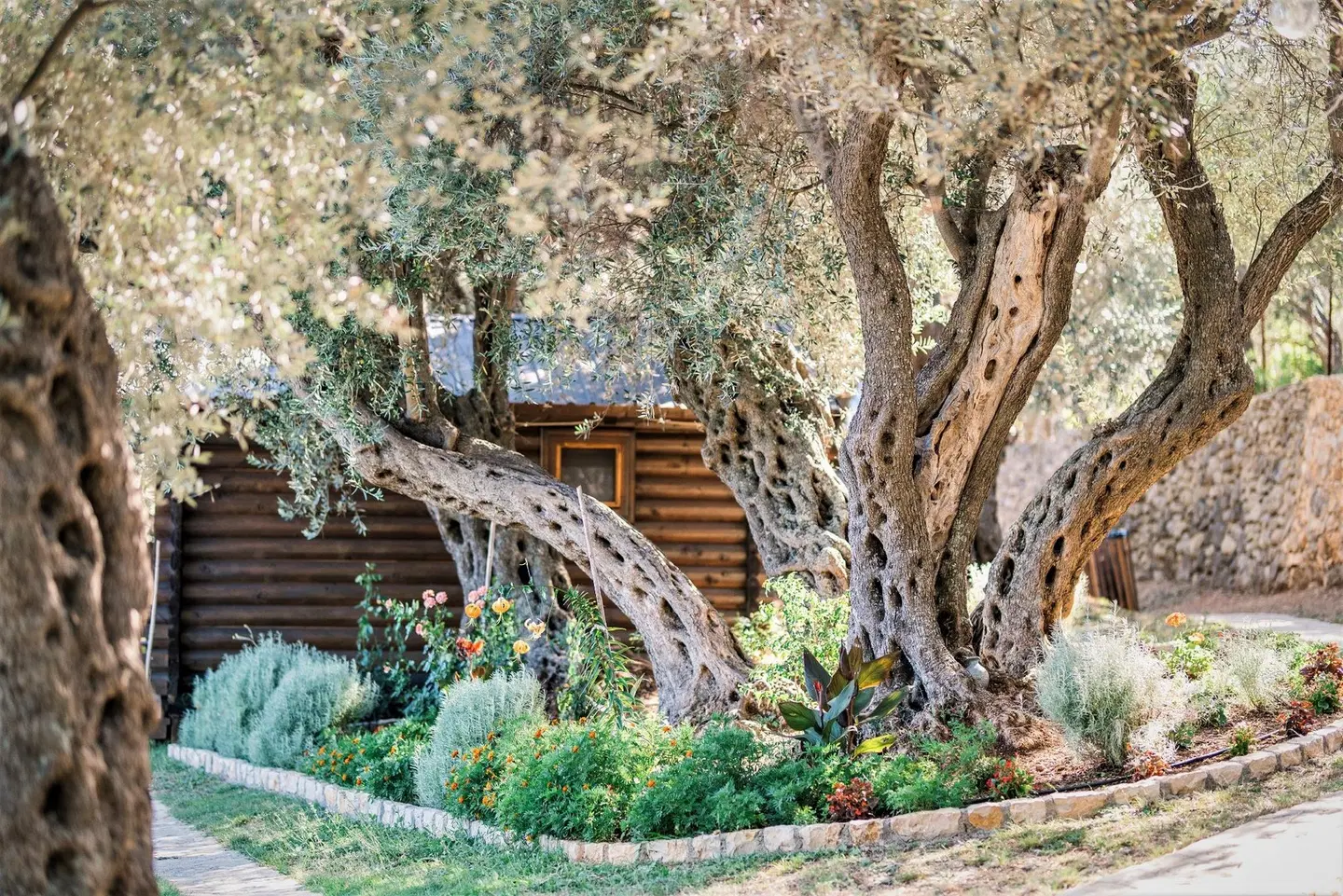 Holiday Park Olive Tree Tiere