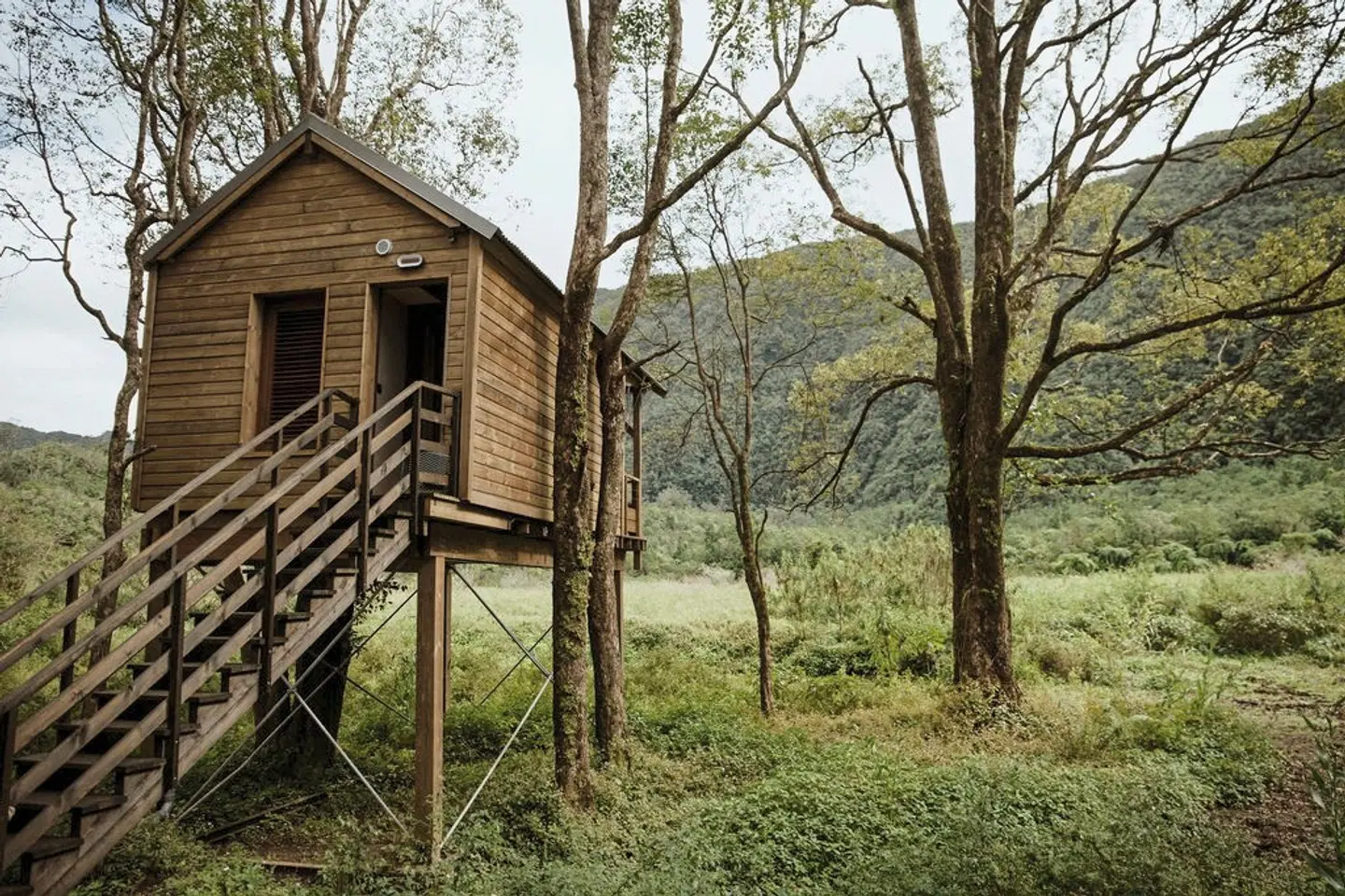 Kanopéa Forest Lodge Tiere