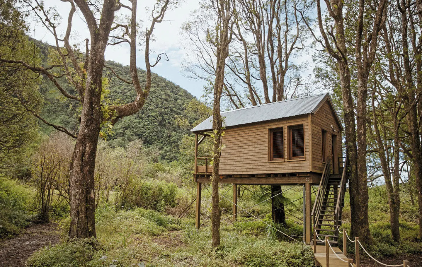 Kanopéa Forest Lodge EXTERIOR