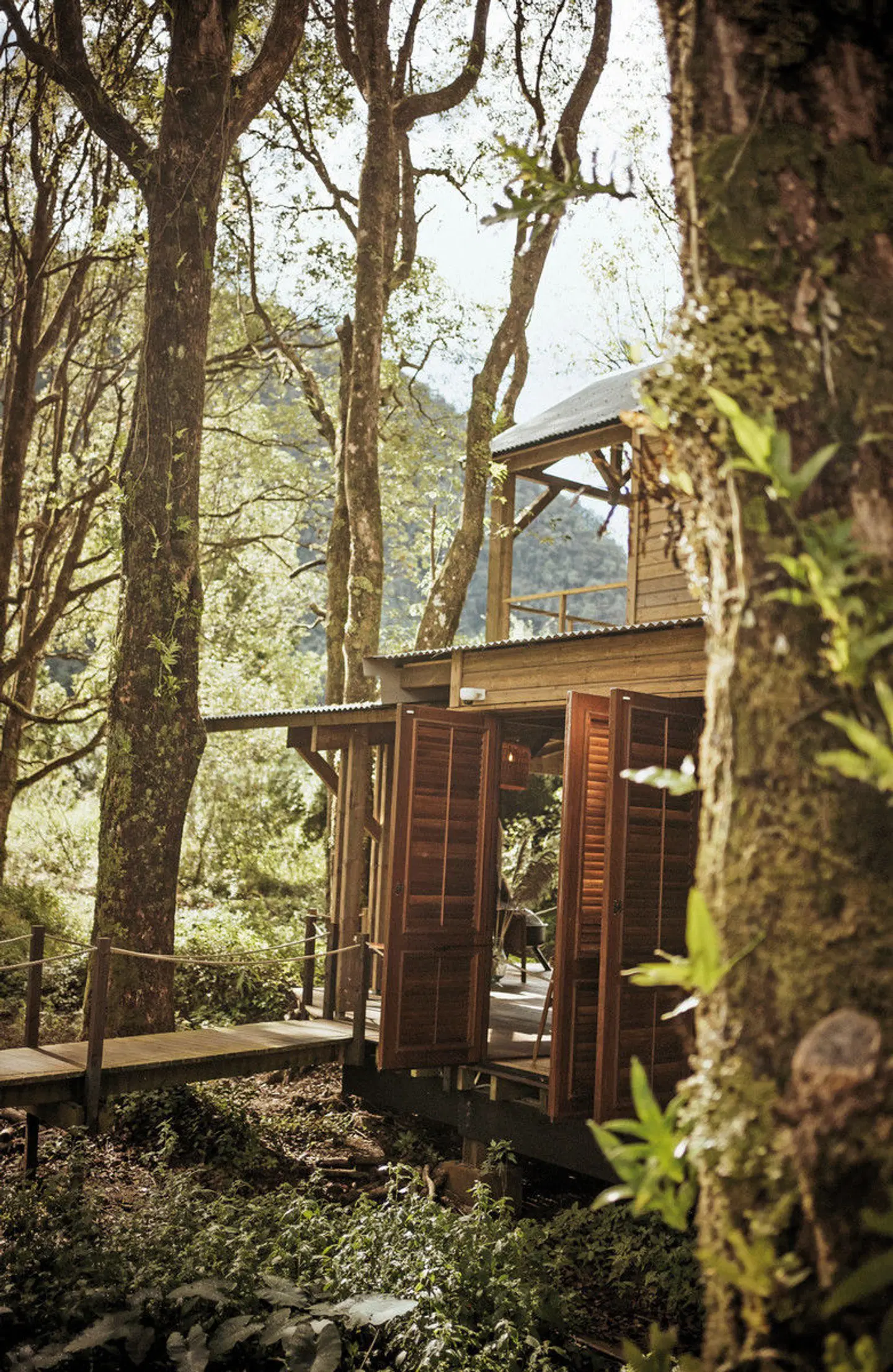Kanopéa Forest Lodge EXTERIOR