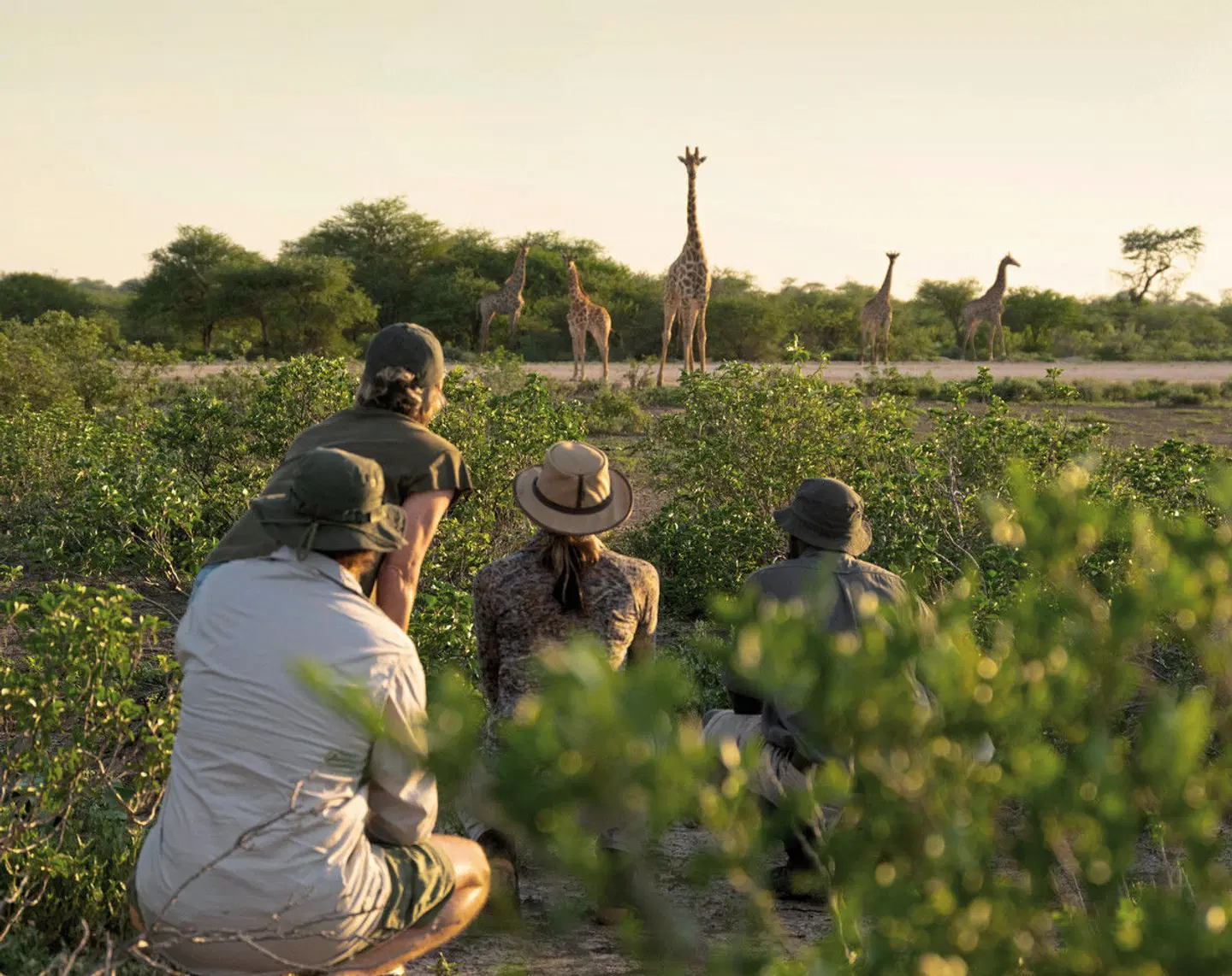 Onguma Trails Camp Tiere