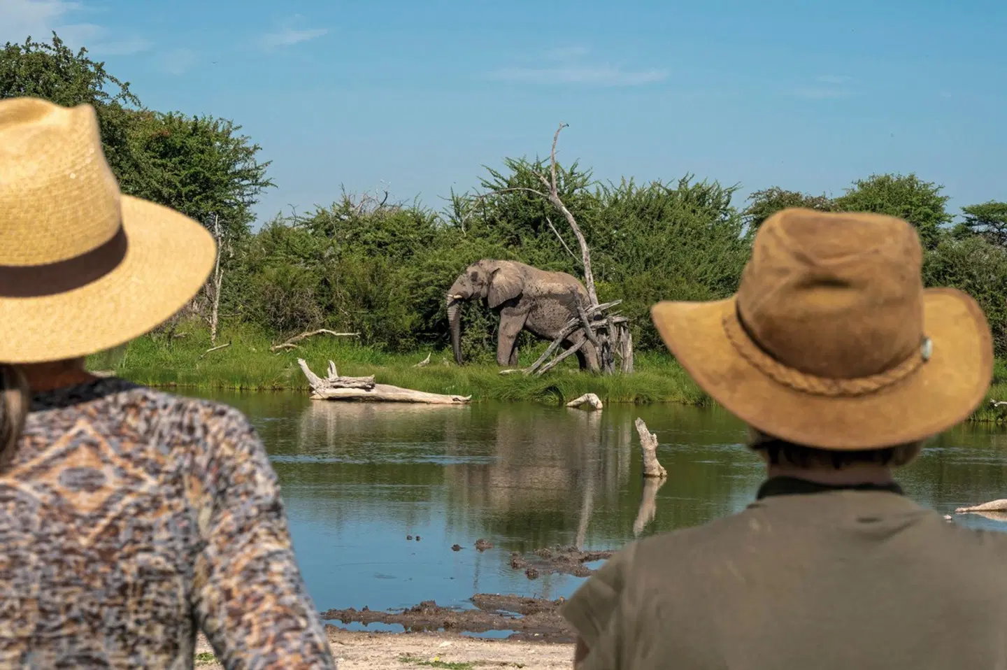Onguma Trails Camp Tiere