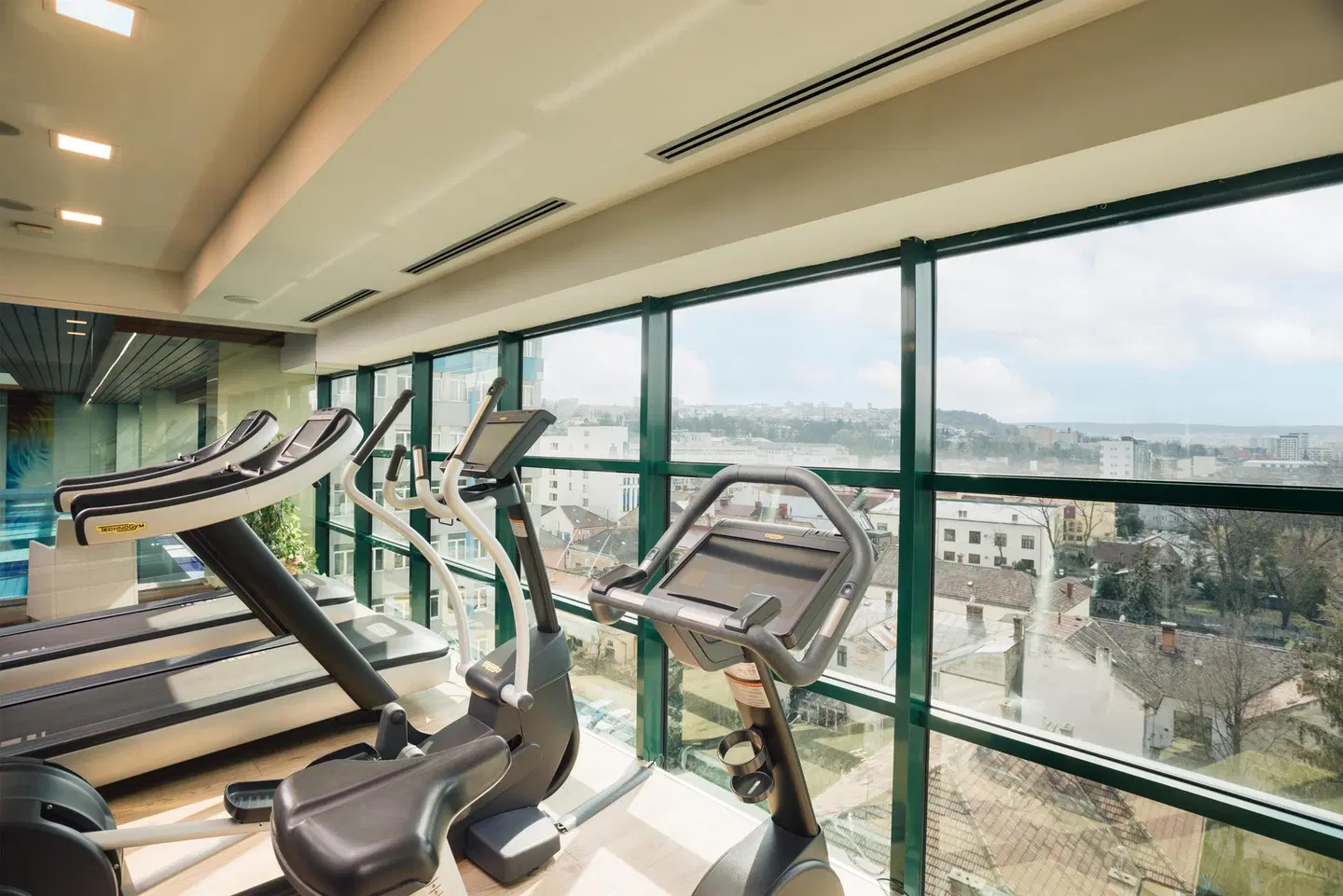 DoubleTree by Hilton Hotel Cluj - City Plaza SPORTS_AND_LEISURE