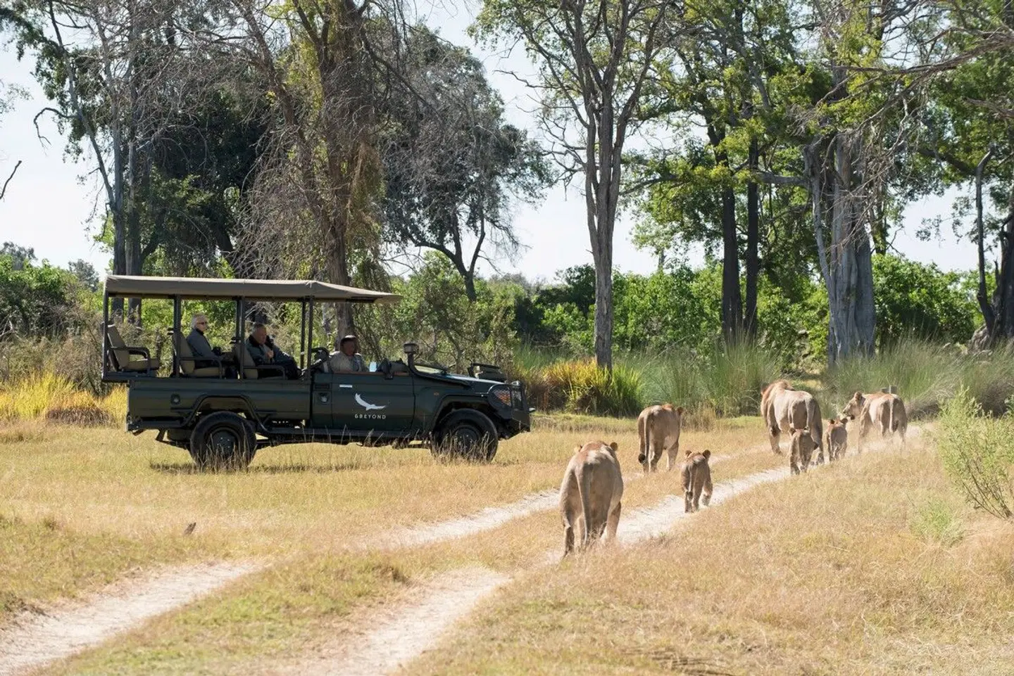 andBeyond Nxabega Okavango Tented Camp Tiere