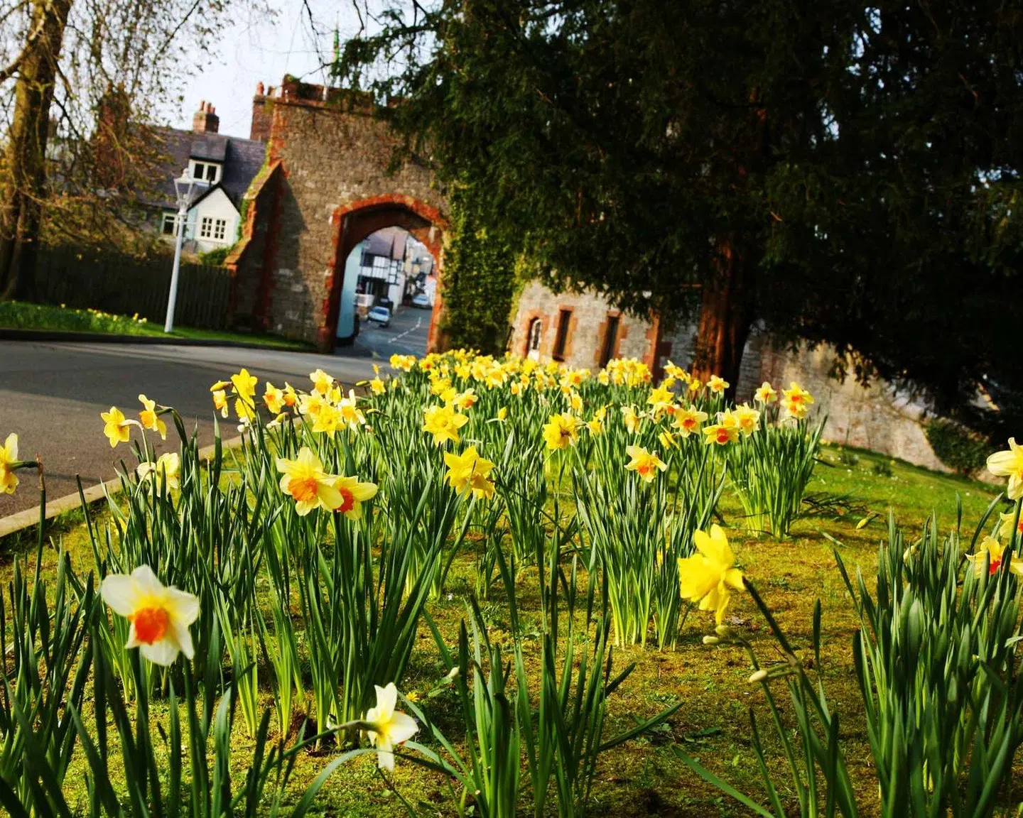 Ruthin Castle Classic Garten