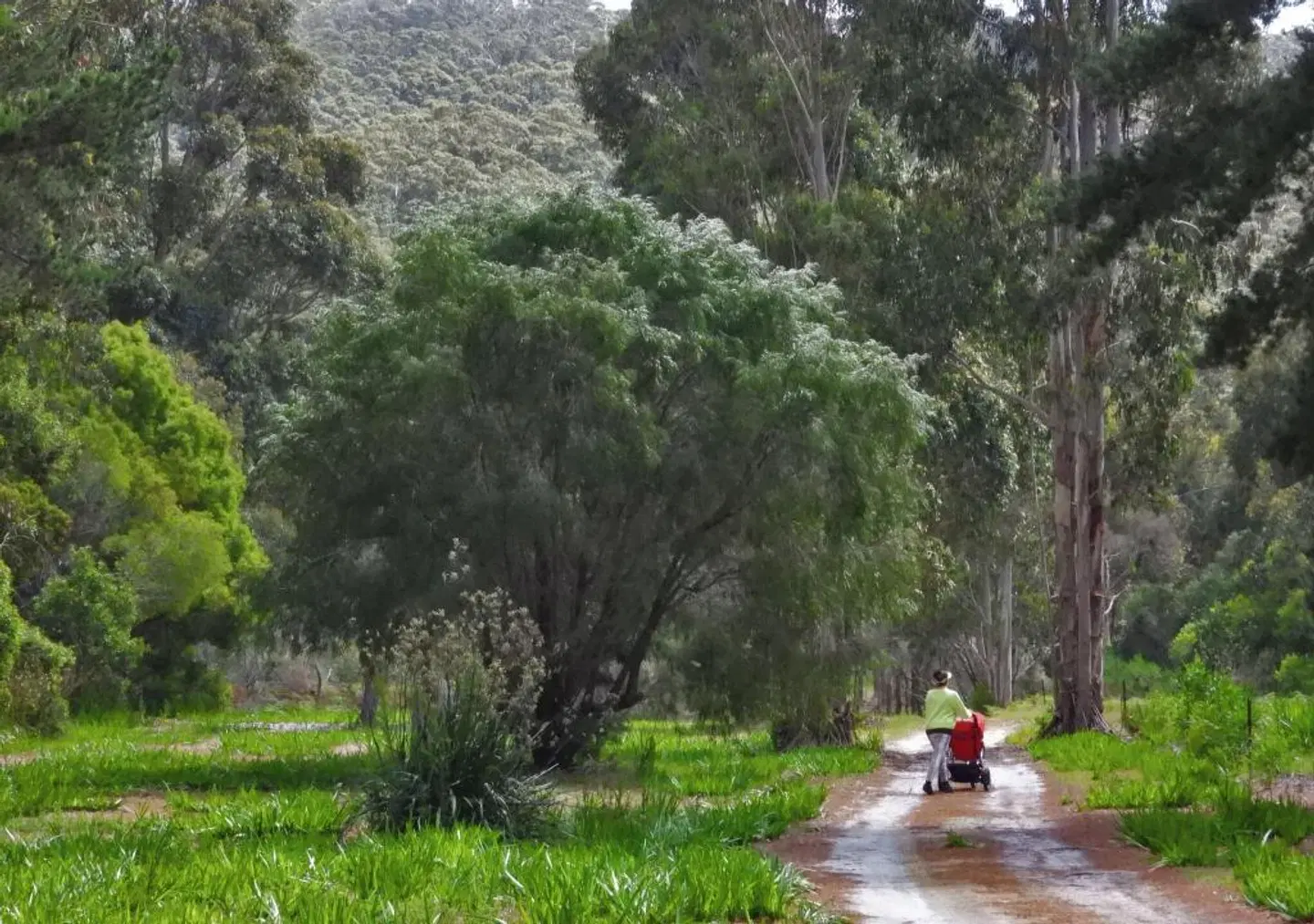 Cape Howe Cottages LANDSCAPE