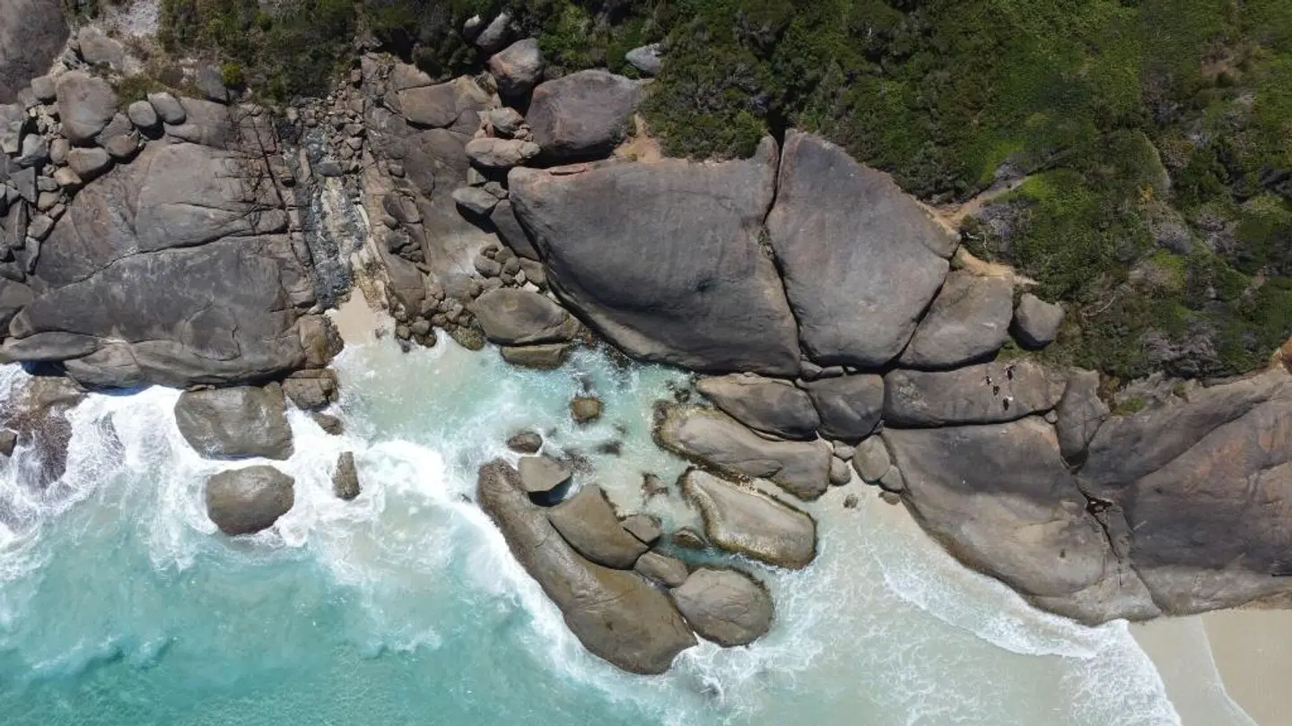 Cape Howe Cottages Tiere