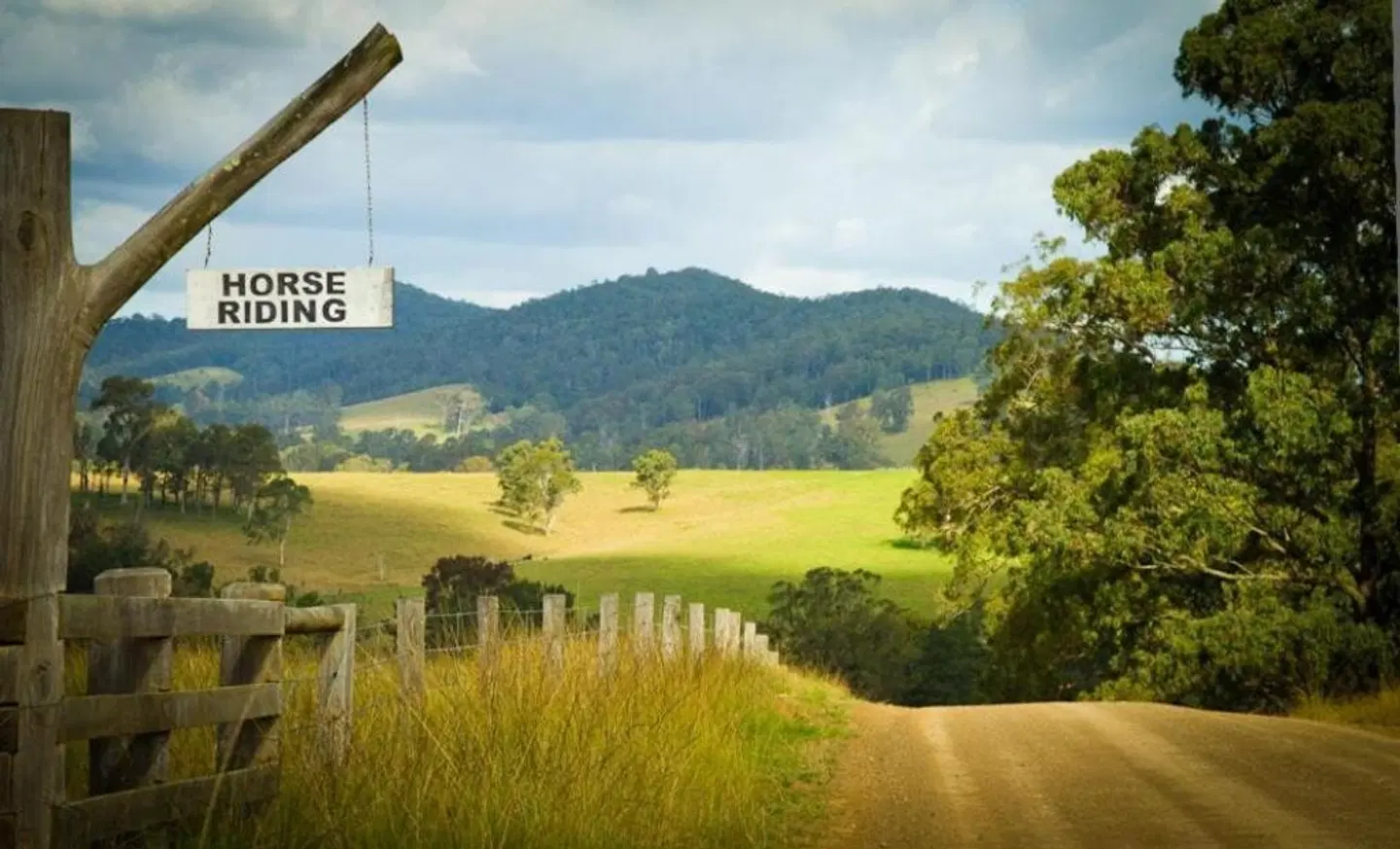 Riverwood Downs Of Barrington Tops LANDSCAPE