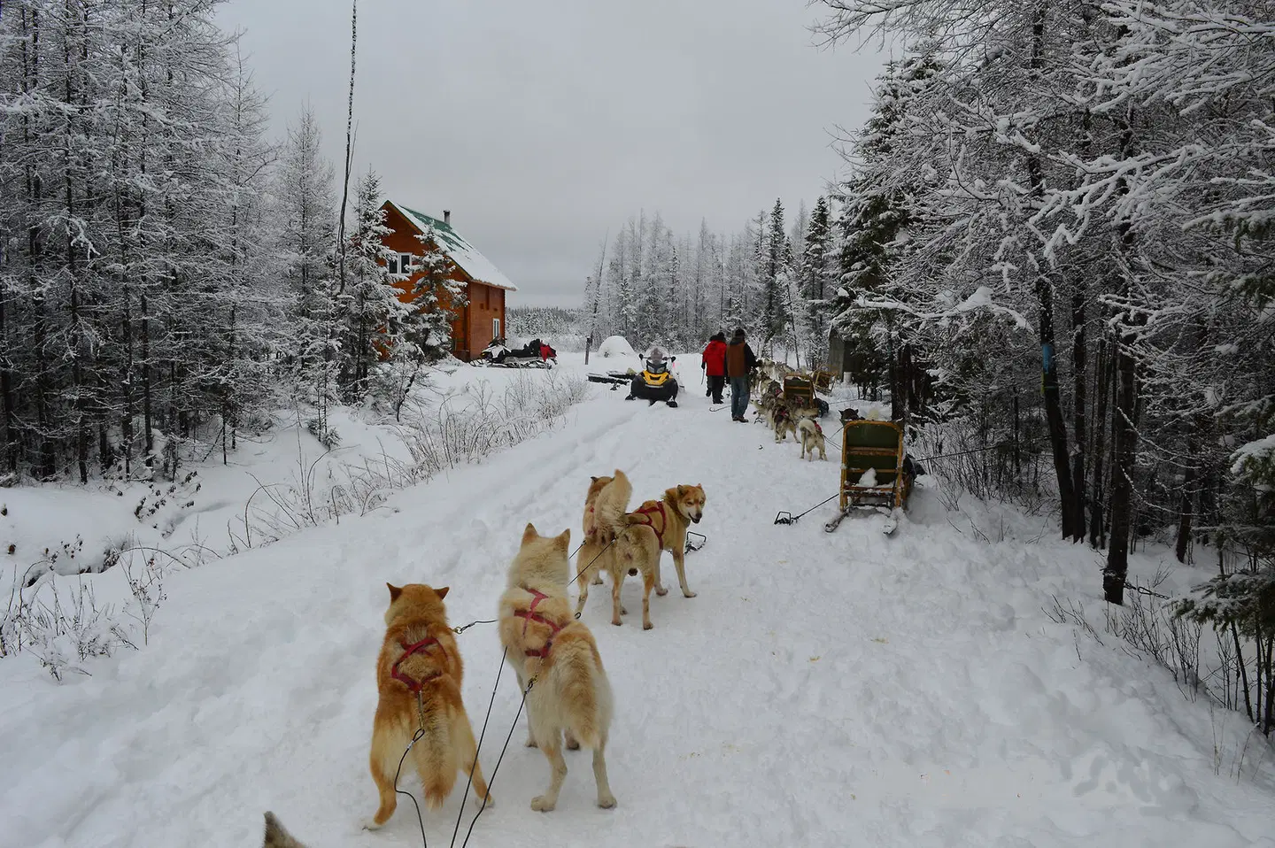 Chalets et Villégiature de la Rivière Daaquam SPORTS_AND_LEISURE
