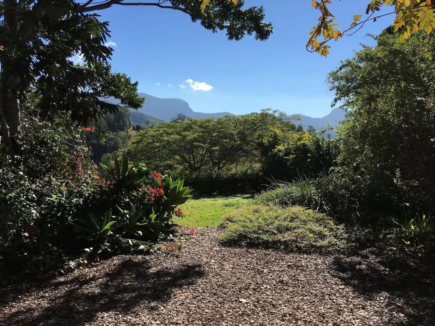 Hillcrest Mountain View Retreat Garten