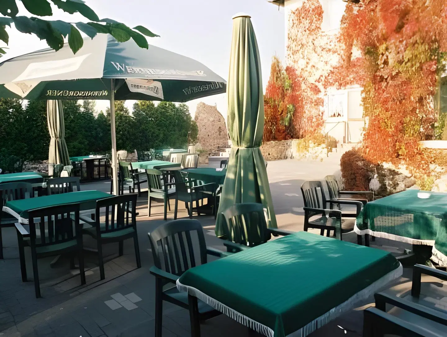 Goldener Hahn Terrasse