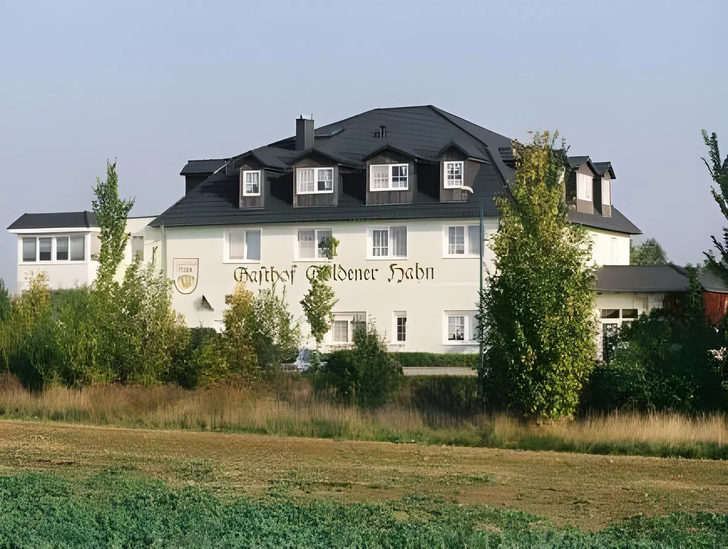 Goldener Hahn EXTERIOR
