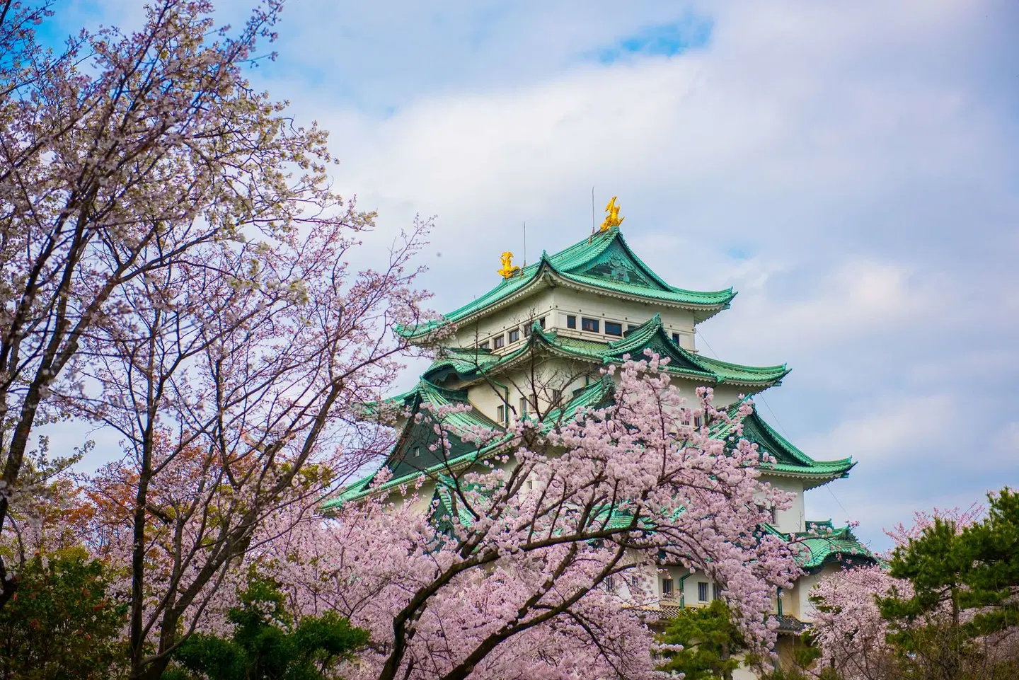 Hilton Nagoya LANDSCAPE