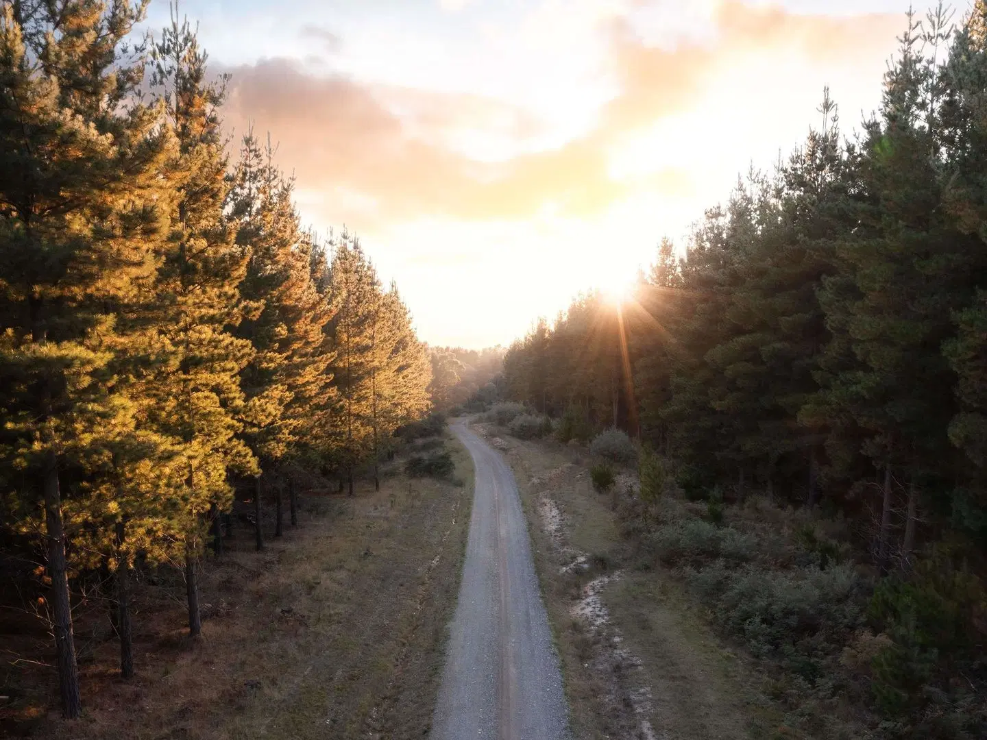 The Sebel Creswick Forest Resort LANDSCAPE