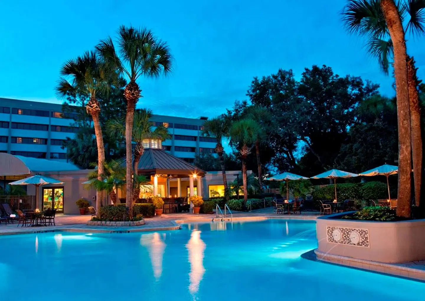 DoubleTree Suites by Hilton Orlando - Disney Springs Area OUTDOOR_POOL